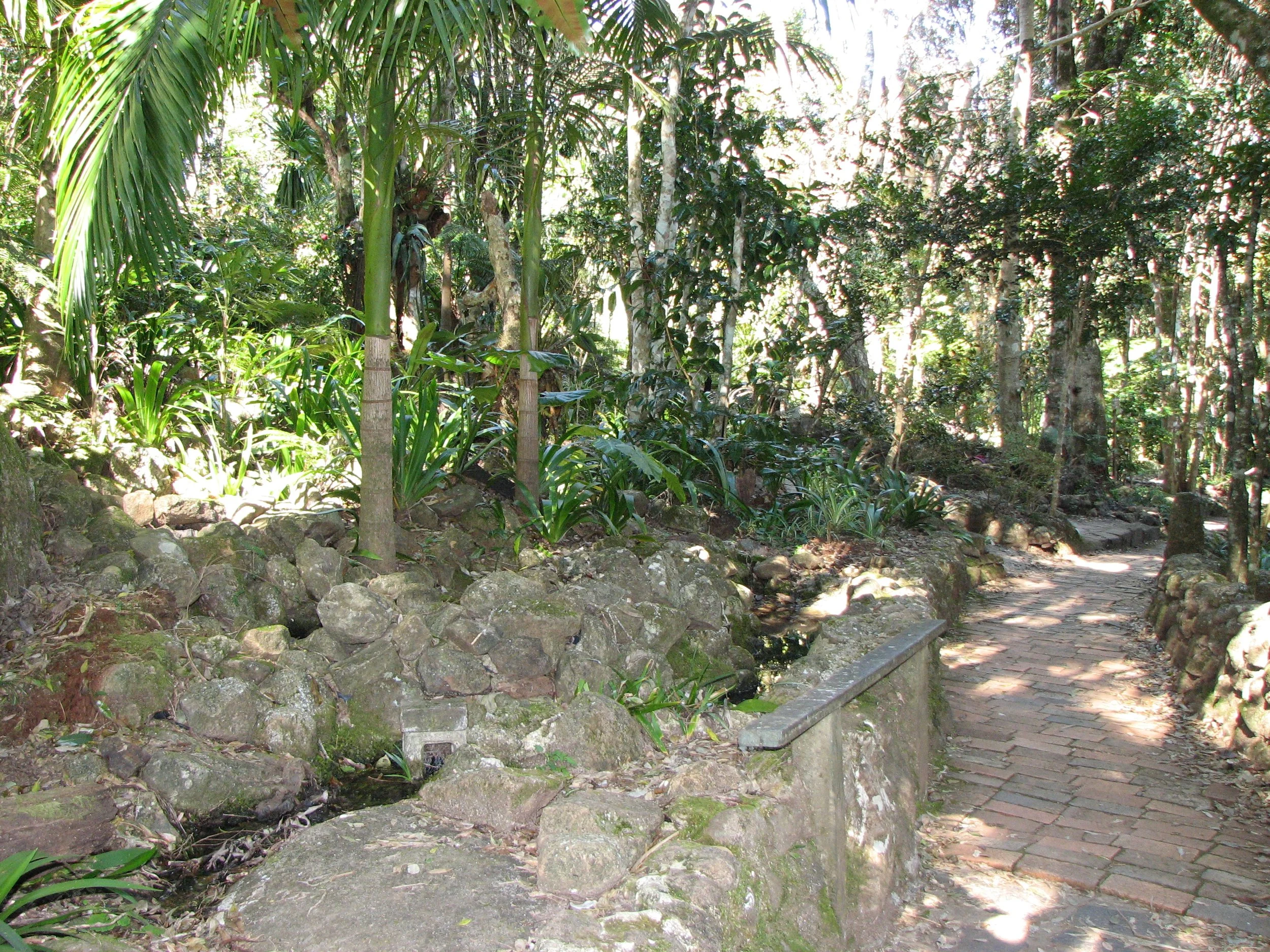 O'Reilly's Preserve and Treetop Walk