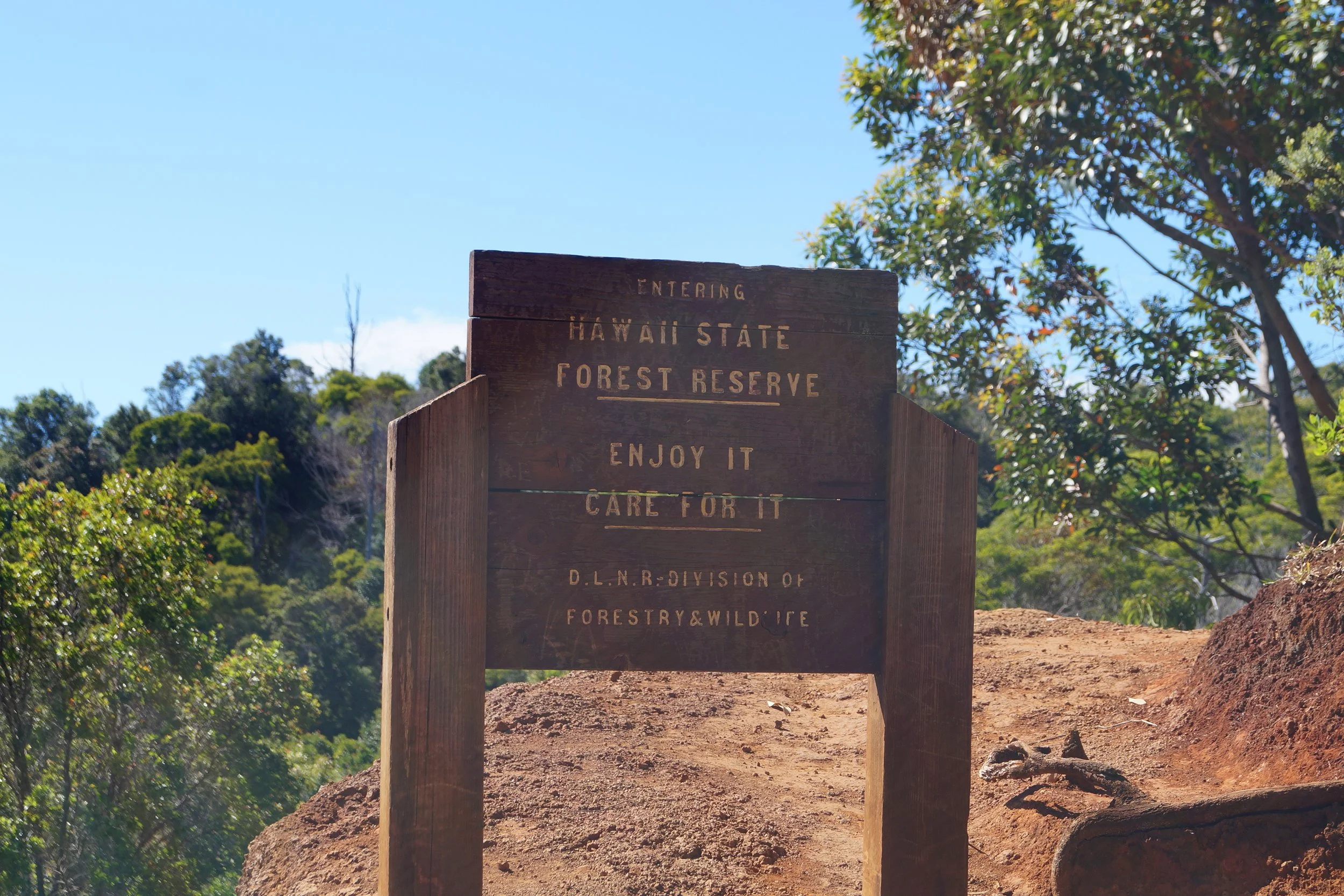 Waimea Canyon