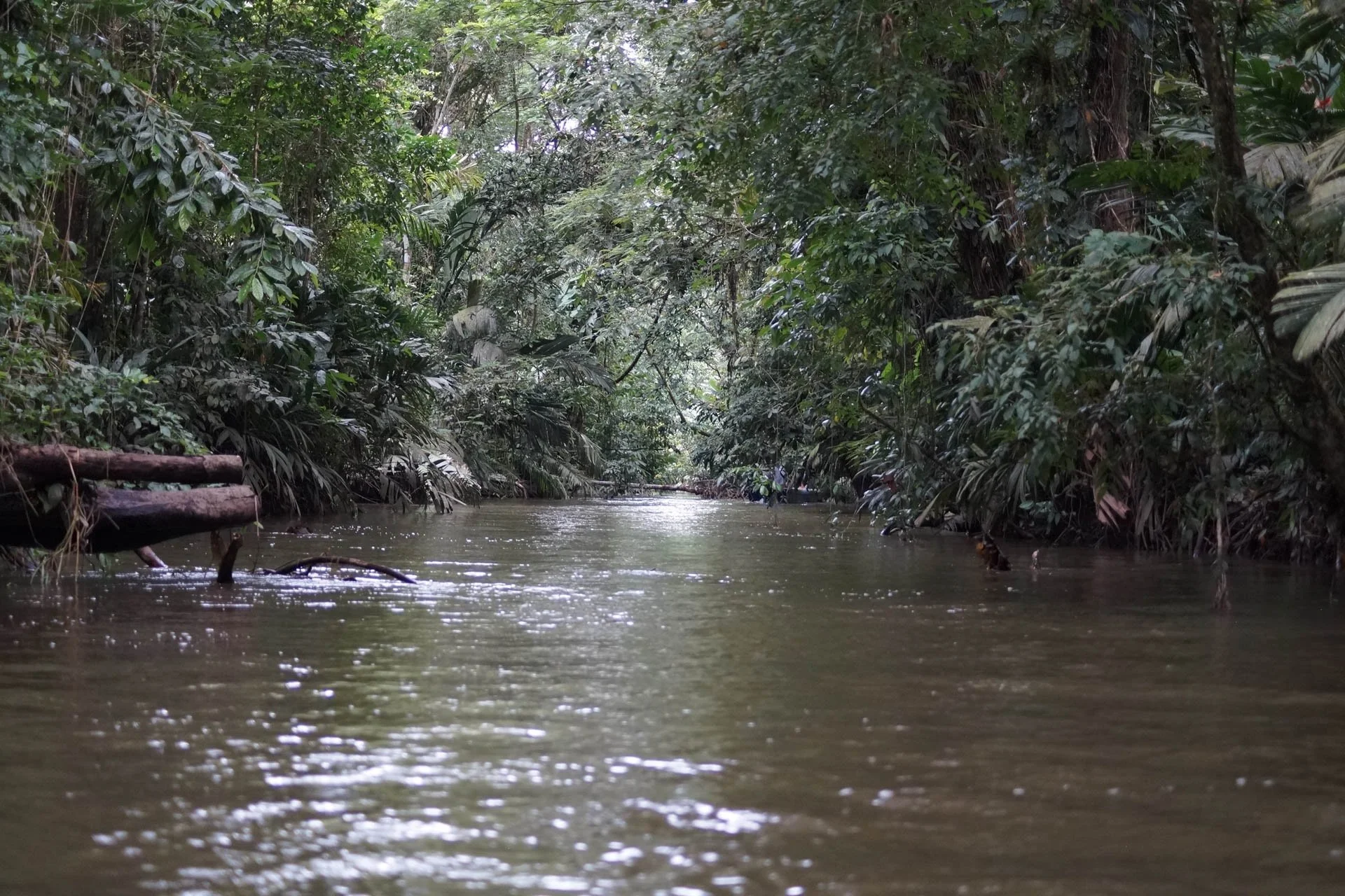 Costa Rica: July to August 2021
