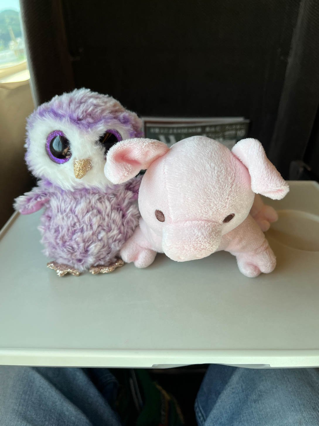 Tokyo to Kyoto - Hoo Hoo and Potato enjoying the Shinkansen. When your kids give you stuffed animals for your trip, you take them on your trip!