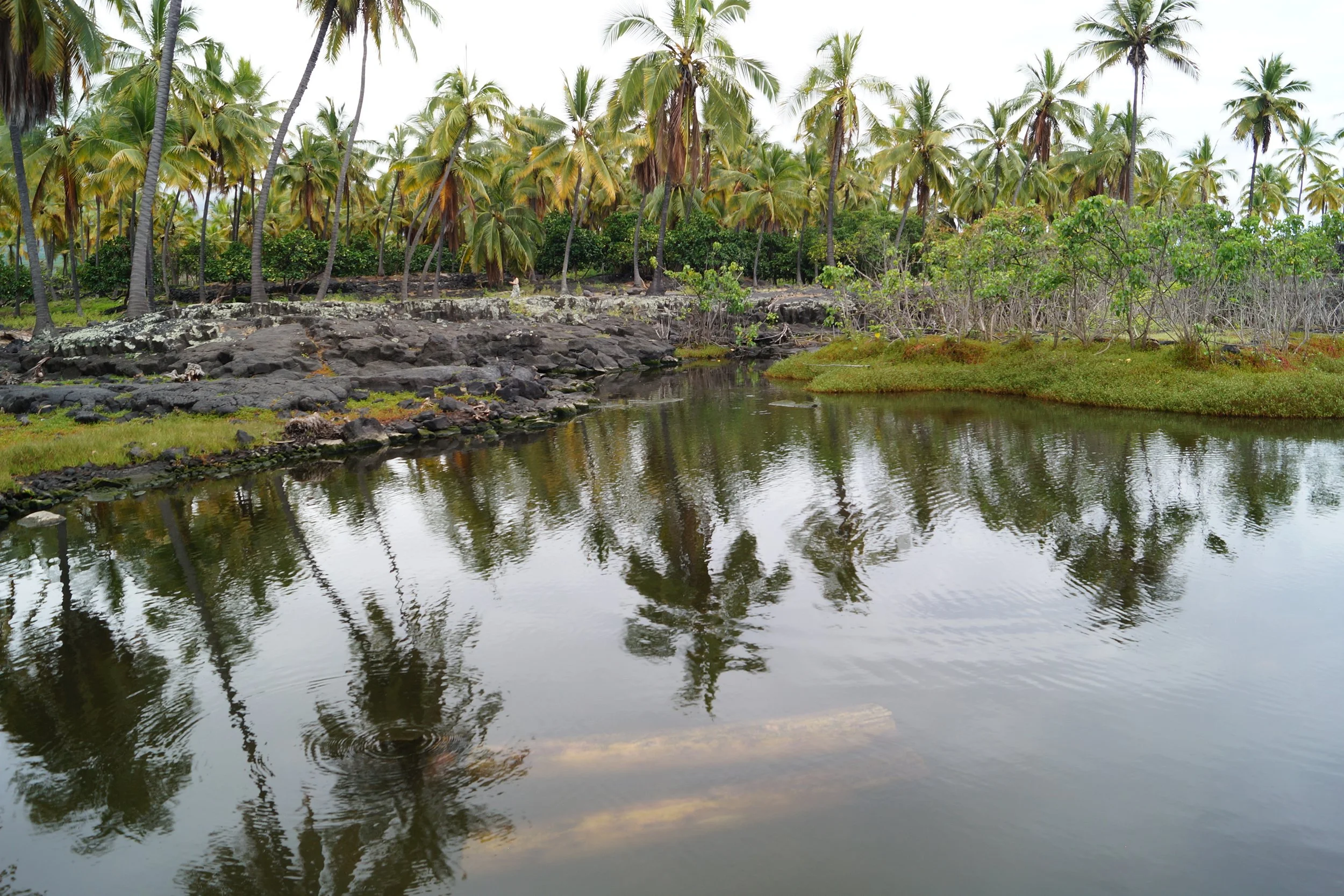 Pu'uhonua O Hōnaunau National Historical Park - Royal Fish Ponds