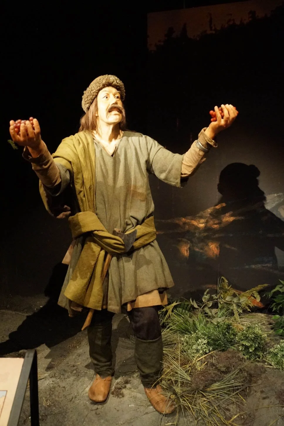 Saga Museum - Vinland. Vinland was a region of North America which was explored by Leif Erickson around the year 1,000 AD. It is thought to be located around Newfoundland and was called "vinland" because of the wild grapes that were found growing the