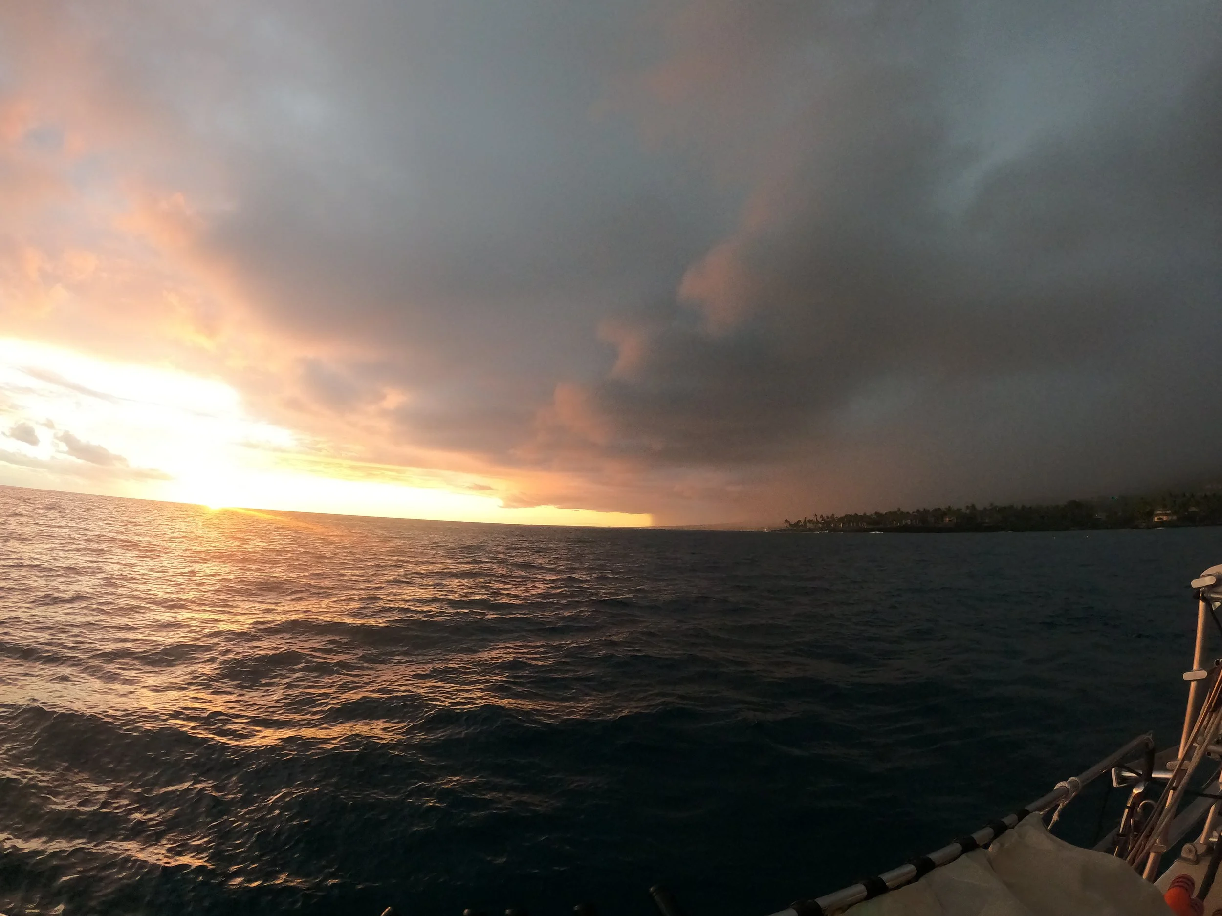 Manta Ray Excursion