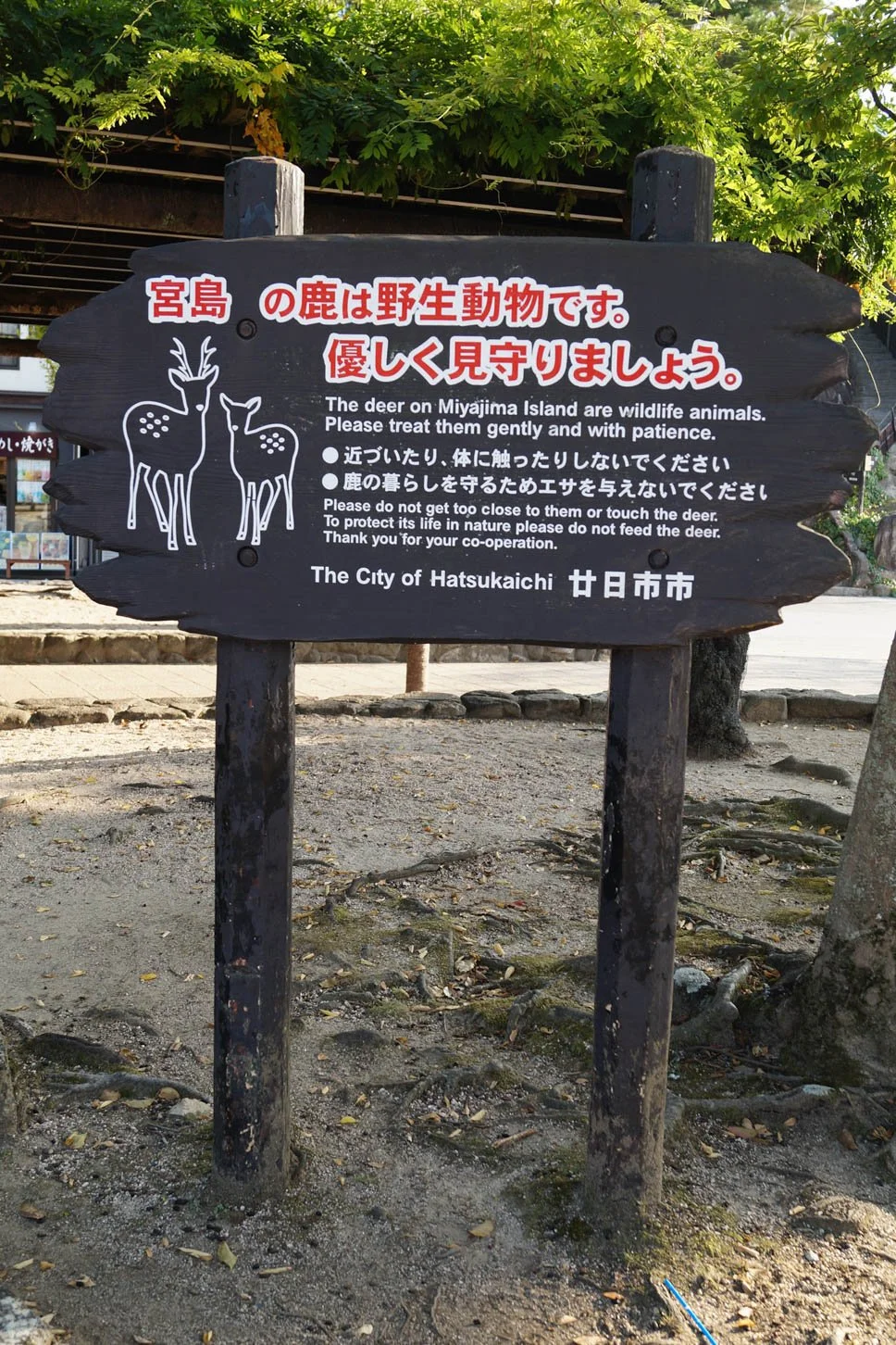Hiroshima - Sign about the deer at Miyajima Island
