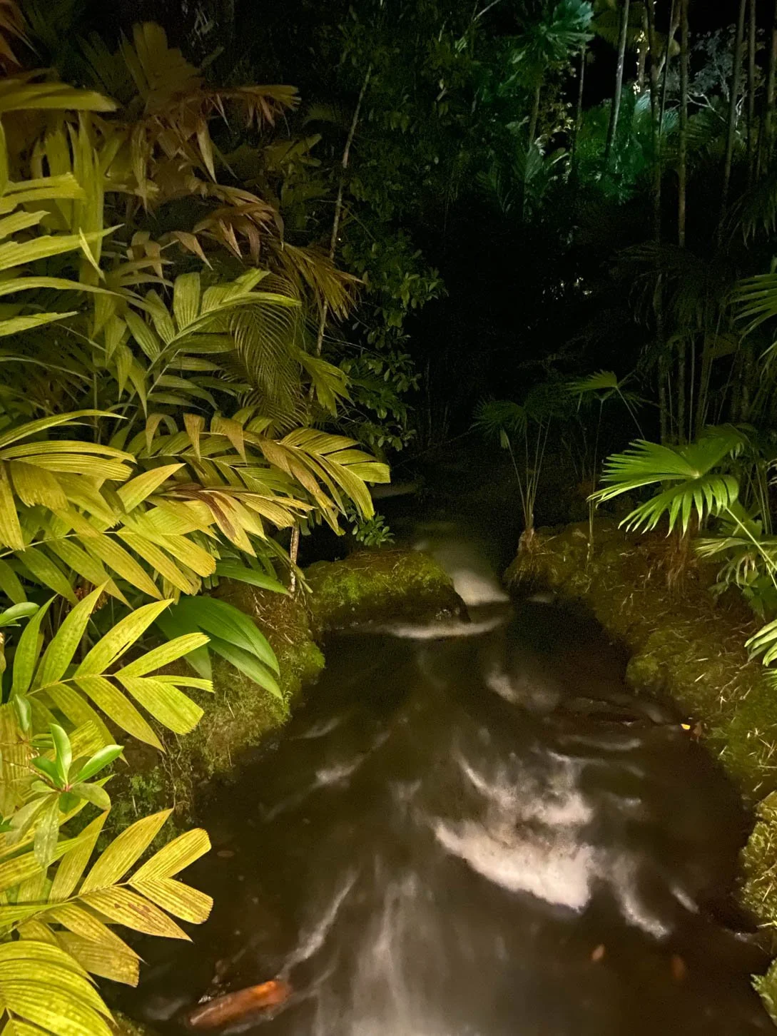 Tabacon Hot Springs
