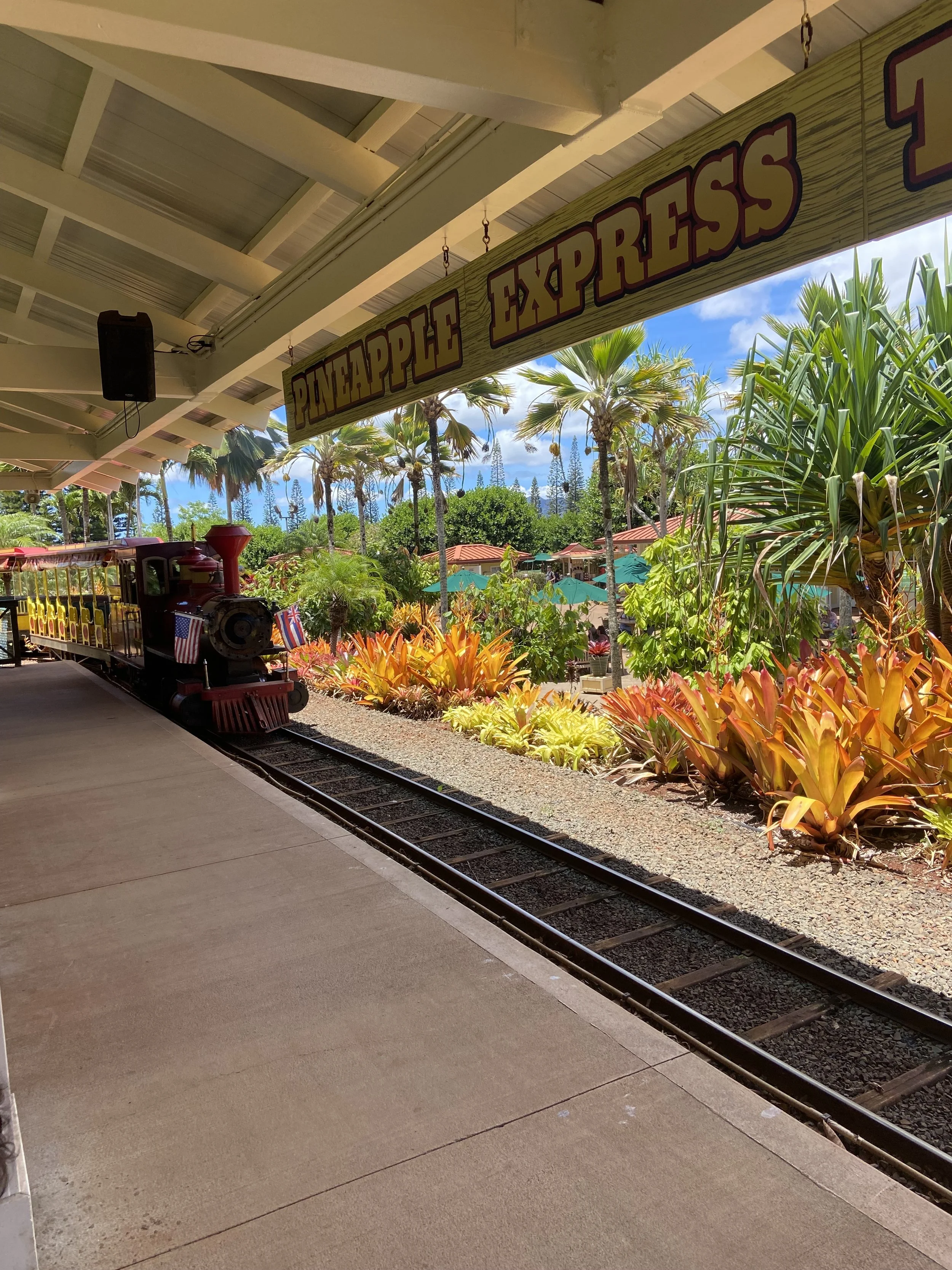 Dole Plantation - Pineapple Express