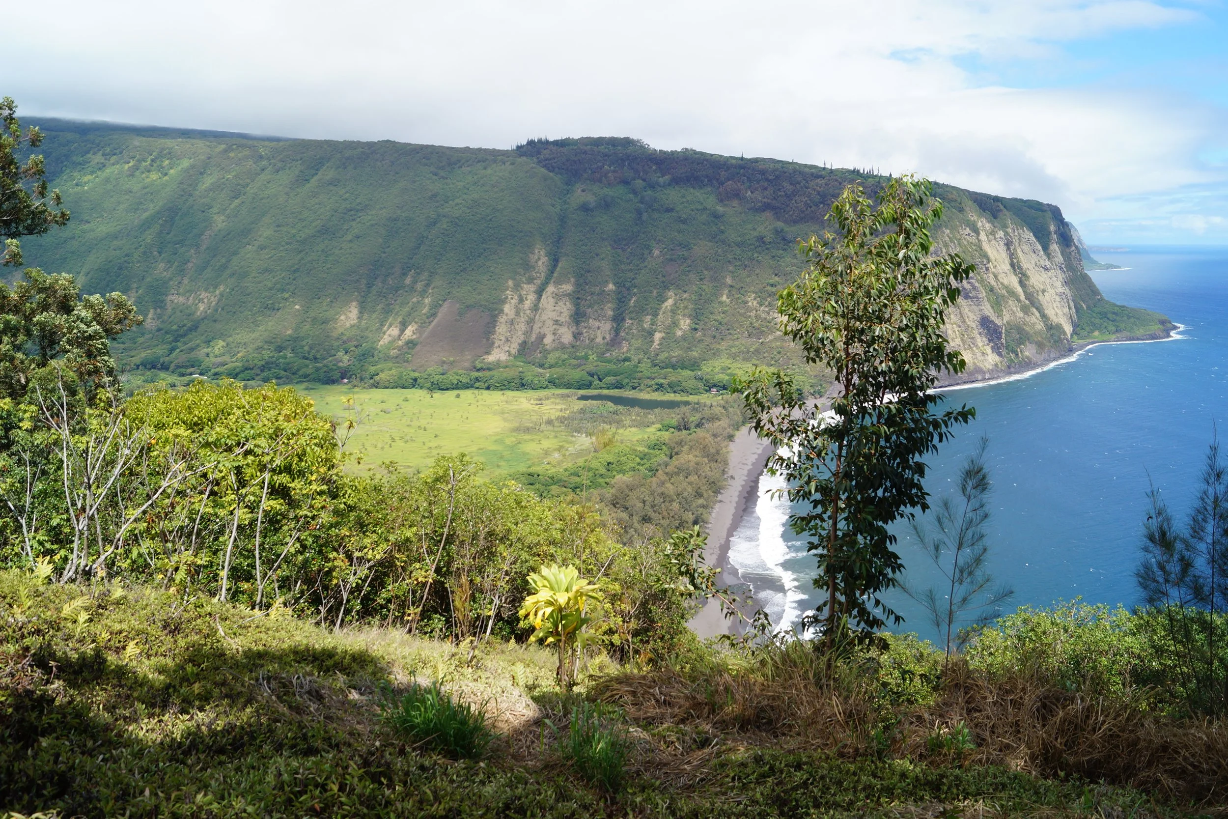 Scenic Drive - Waipio Valley Lookout