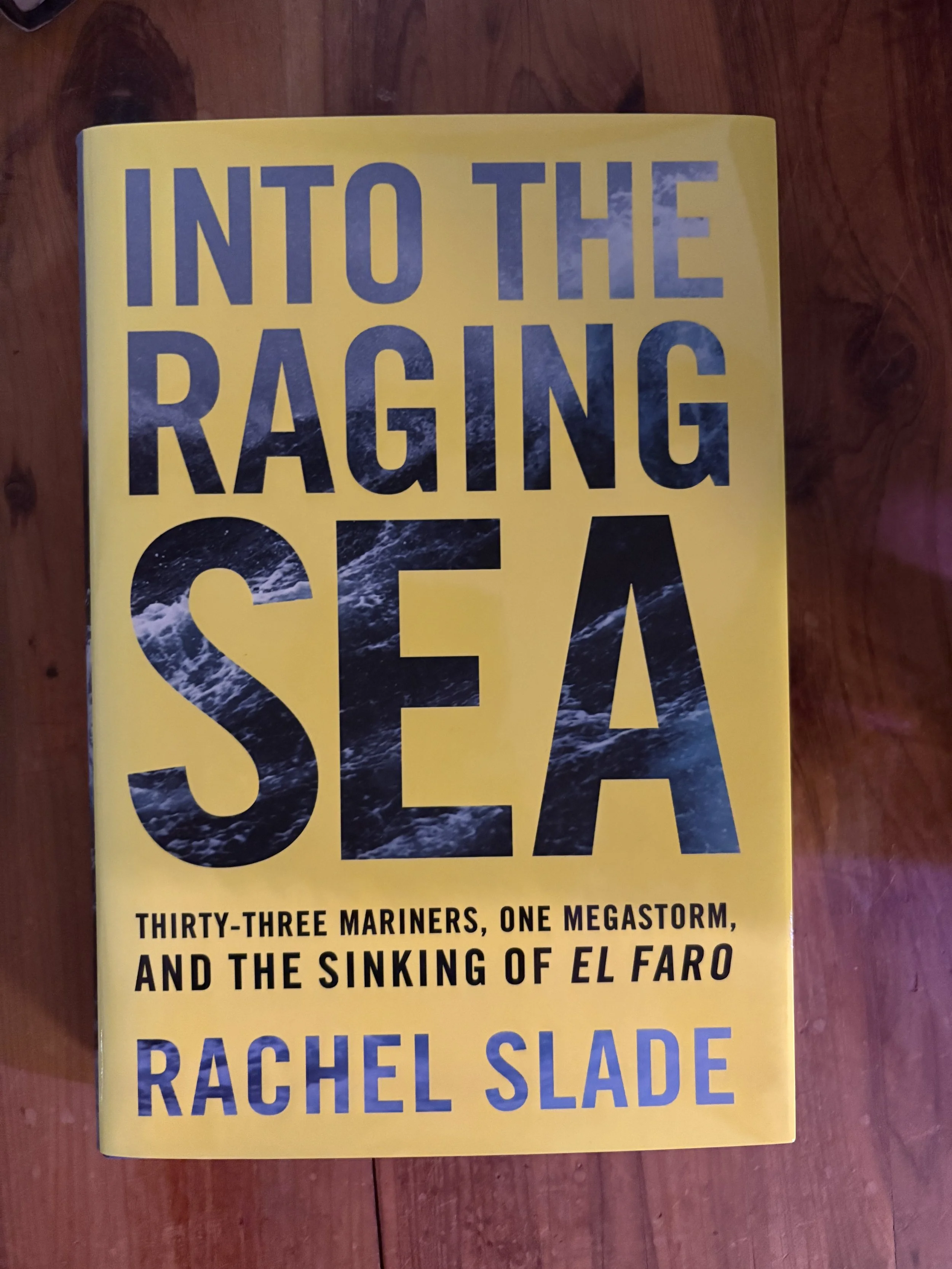 Into the Raging Sea by Rachel Slade