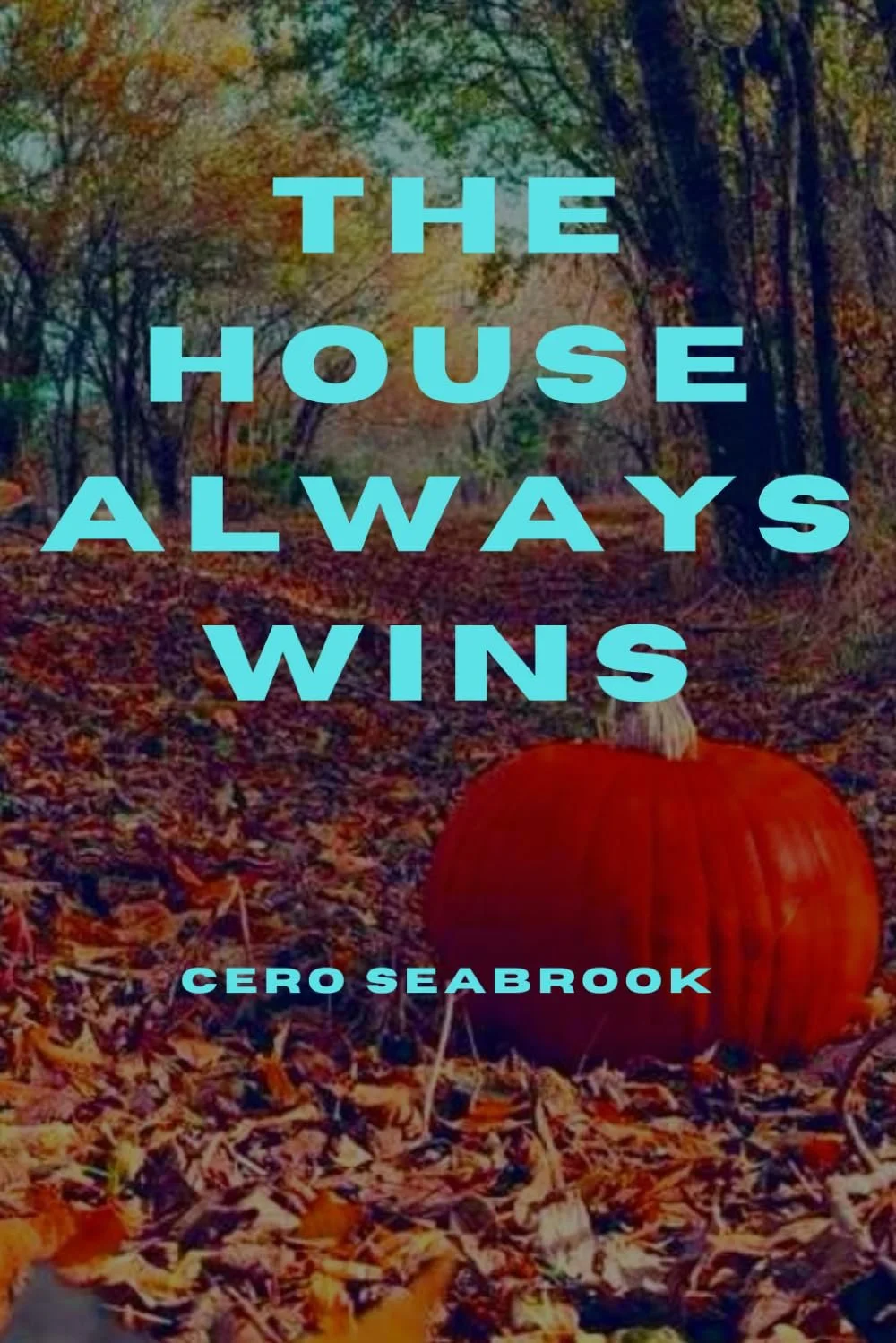 House Always Wins.jpg