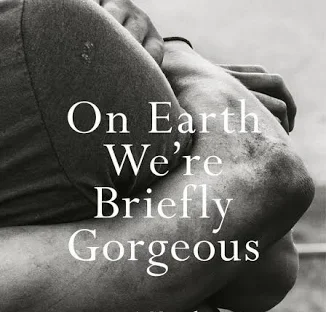 on earth briefly.webp