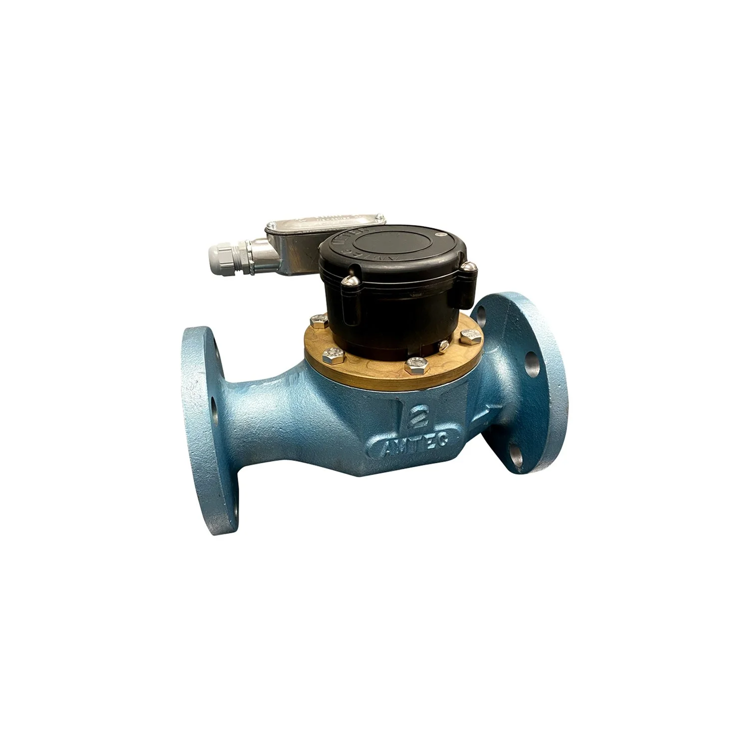 3" Water Meter Assembly