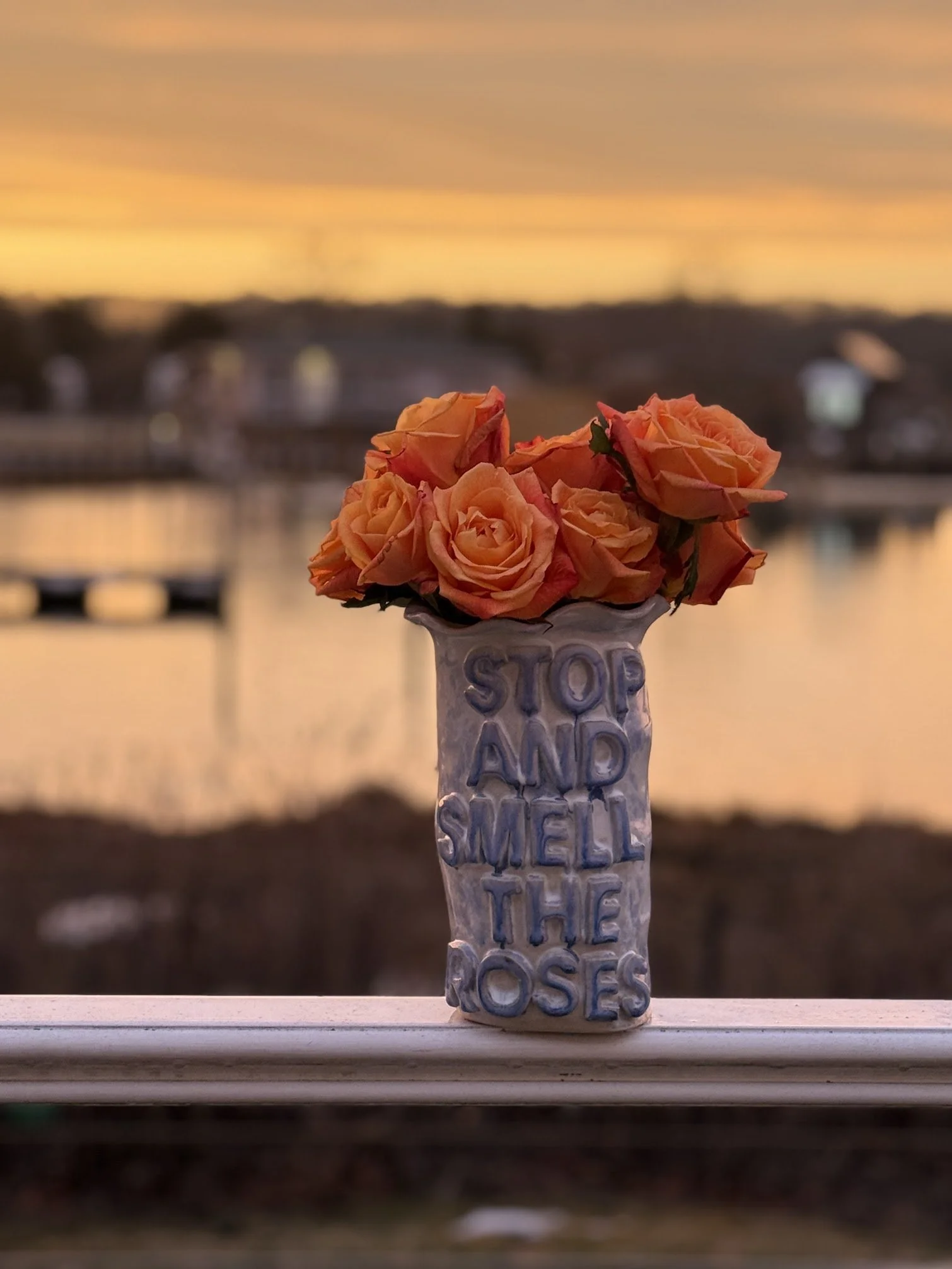 STOP ANDN SMELL THE ROSES