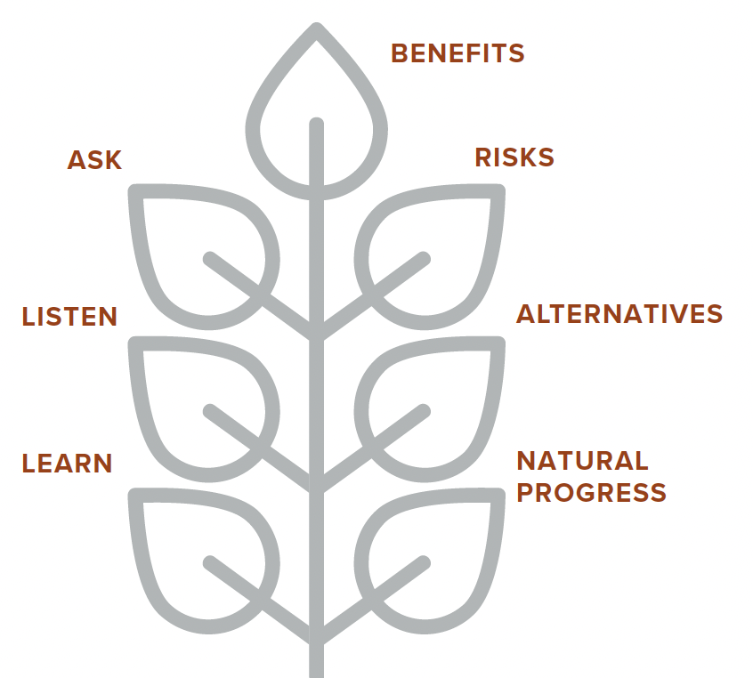 Diagram of a plant with labels on the leaves indicating key steps: ASK, LISTEN, LEARN, BENEFITS, RISKS, ALTERNATIVES, NATURAL PROGRESS.