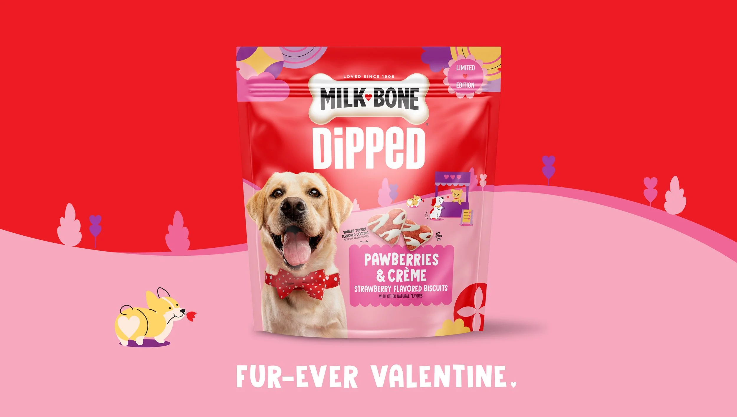 milk-bone-dipped-holiday-packaging-design-soulsight.jpg