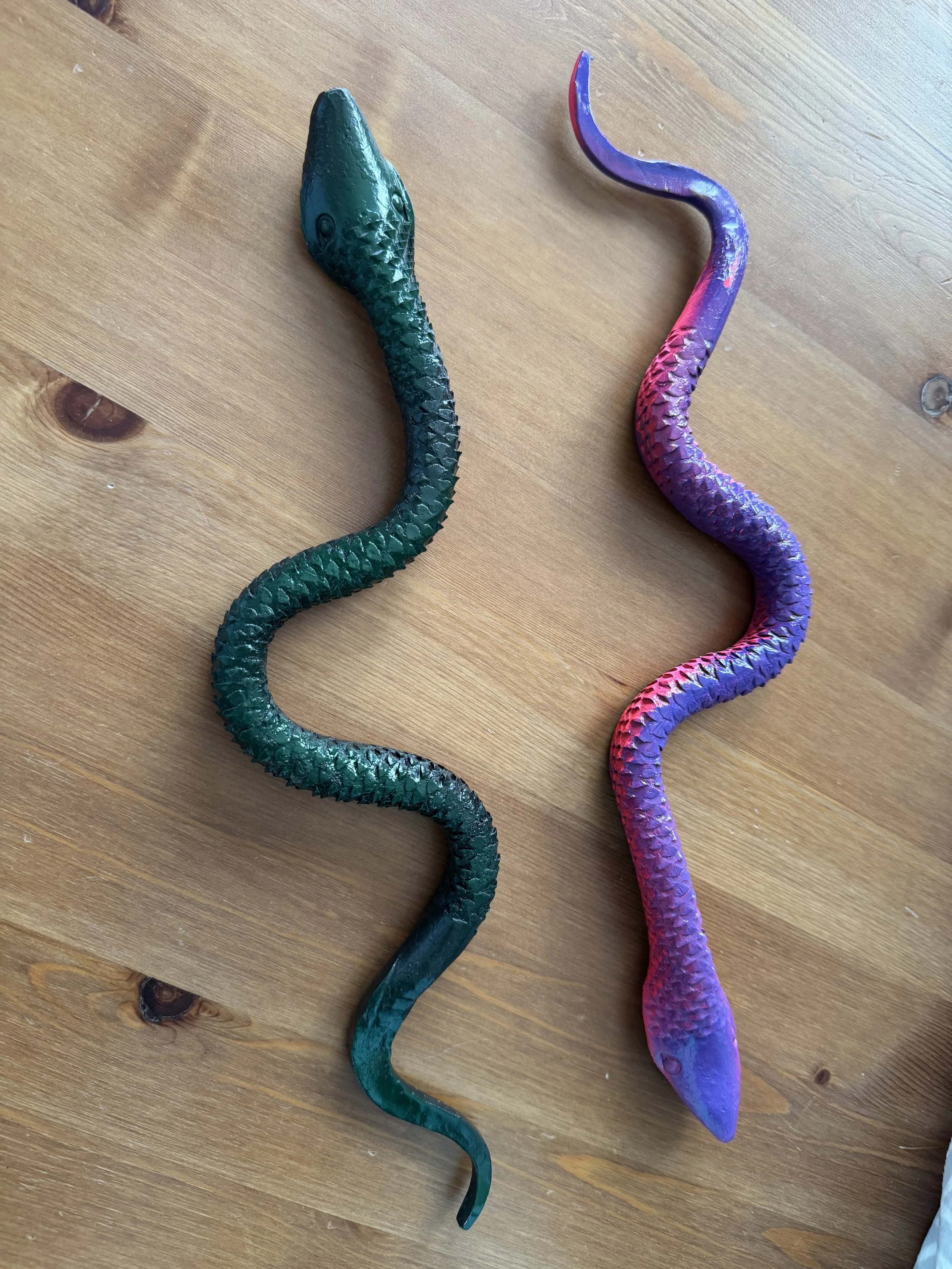Rasp Snake