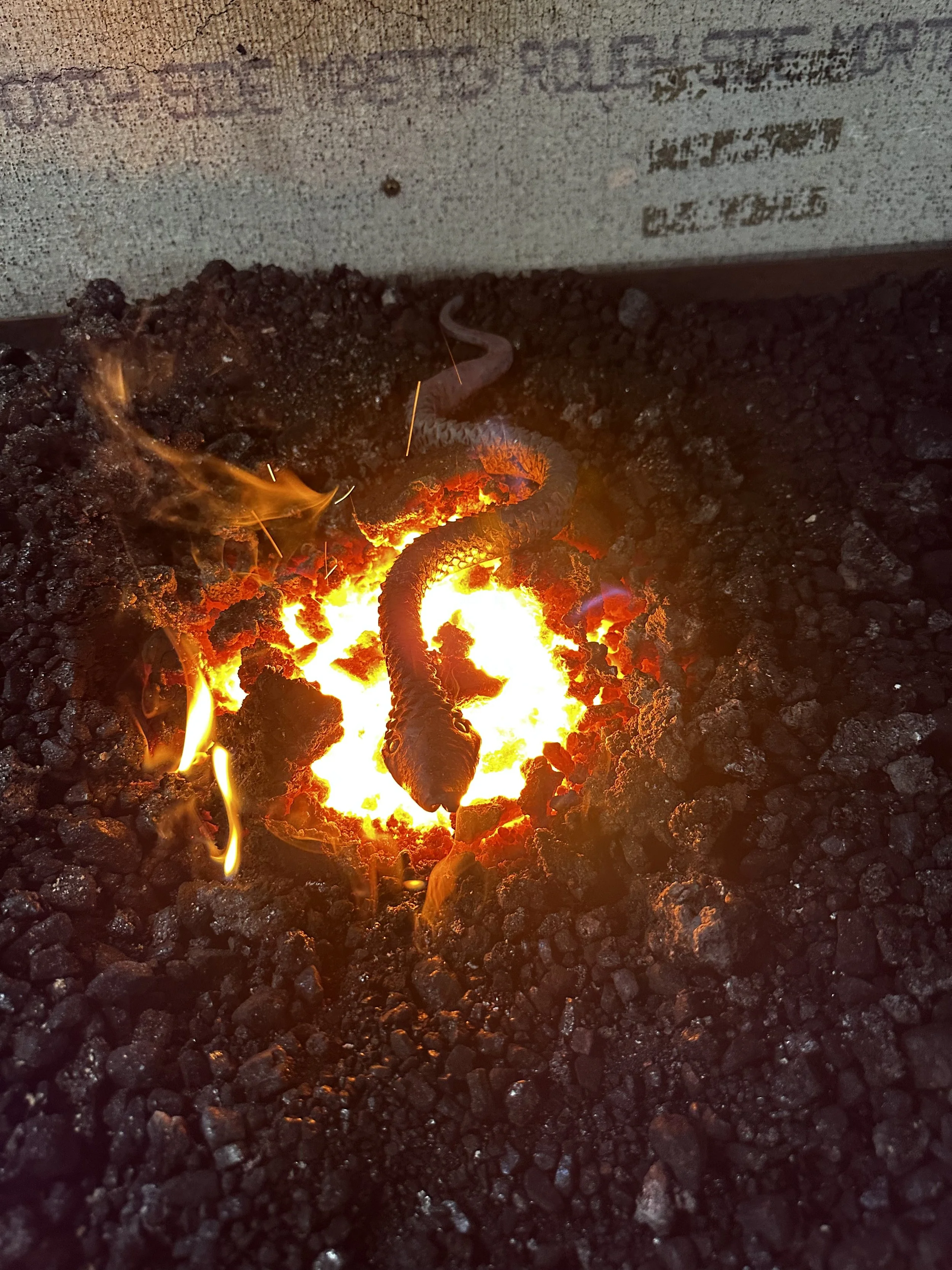 Rasp snake in the forging process