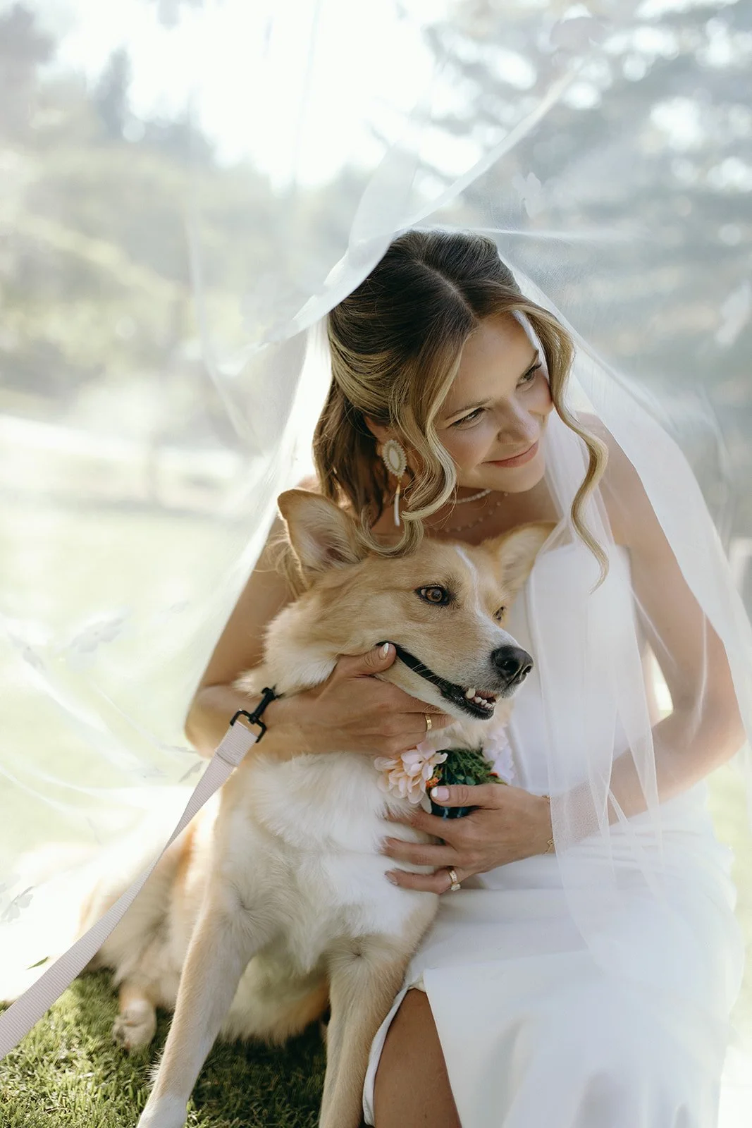 A bride sitting outdoors under a veil, holding her dog, a light-colored dog with a collar, on her lap while smiling and looking to the side.