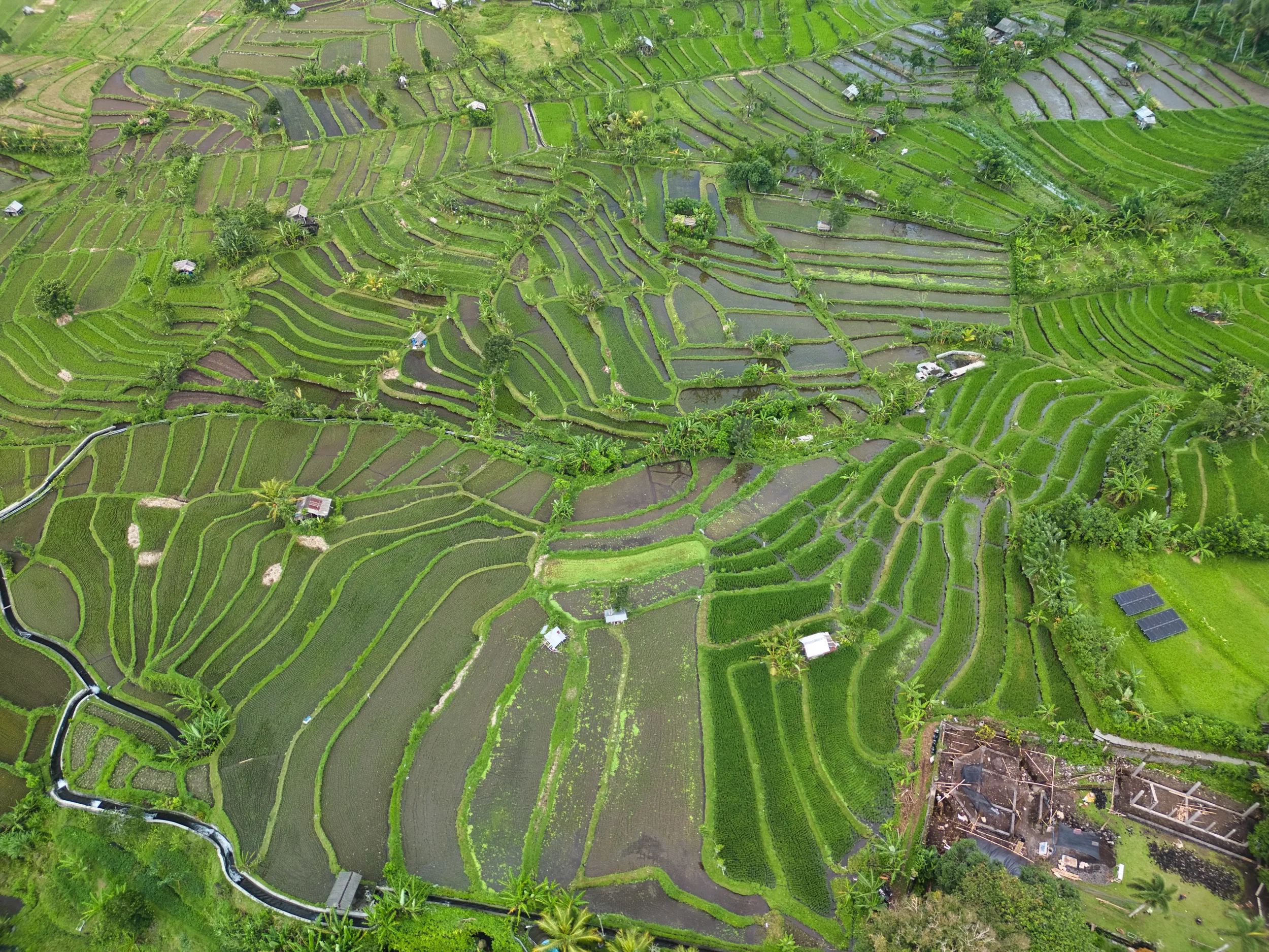 aerial-photography-bali-rice-terraces-amed-geometric.webp