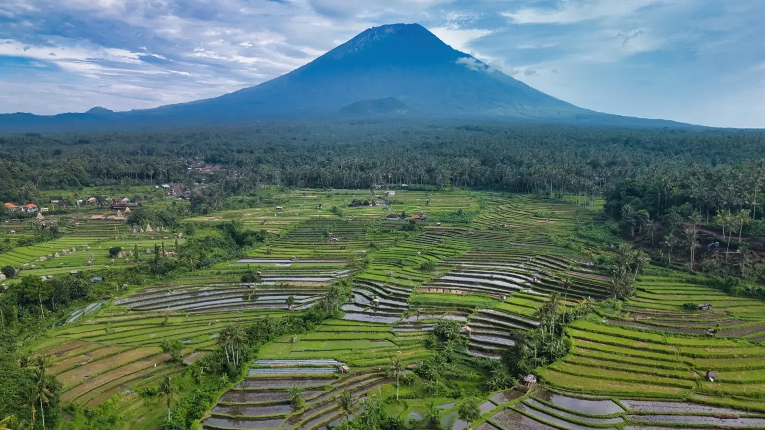 Aerial view of lush green rice terraces with water-filled paddies, small houses scattered around, dense forested area, and a prominent volcanic mountain in the background under a partly cloudy sky.
