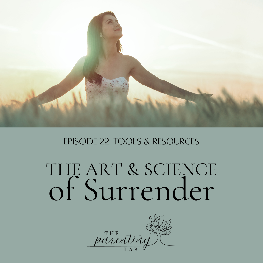 22. The Art &amp; Science of Surrender: Letting Go Without Giving Up