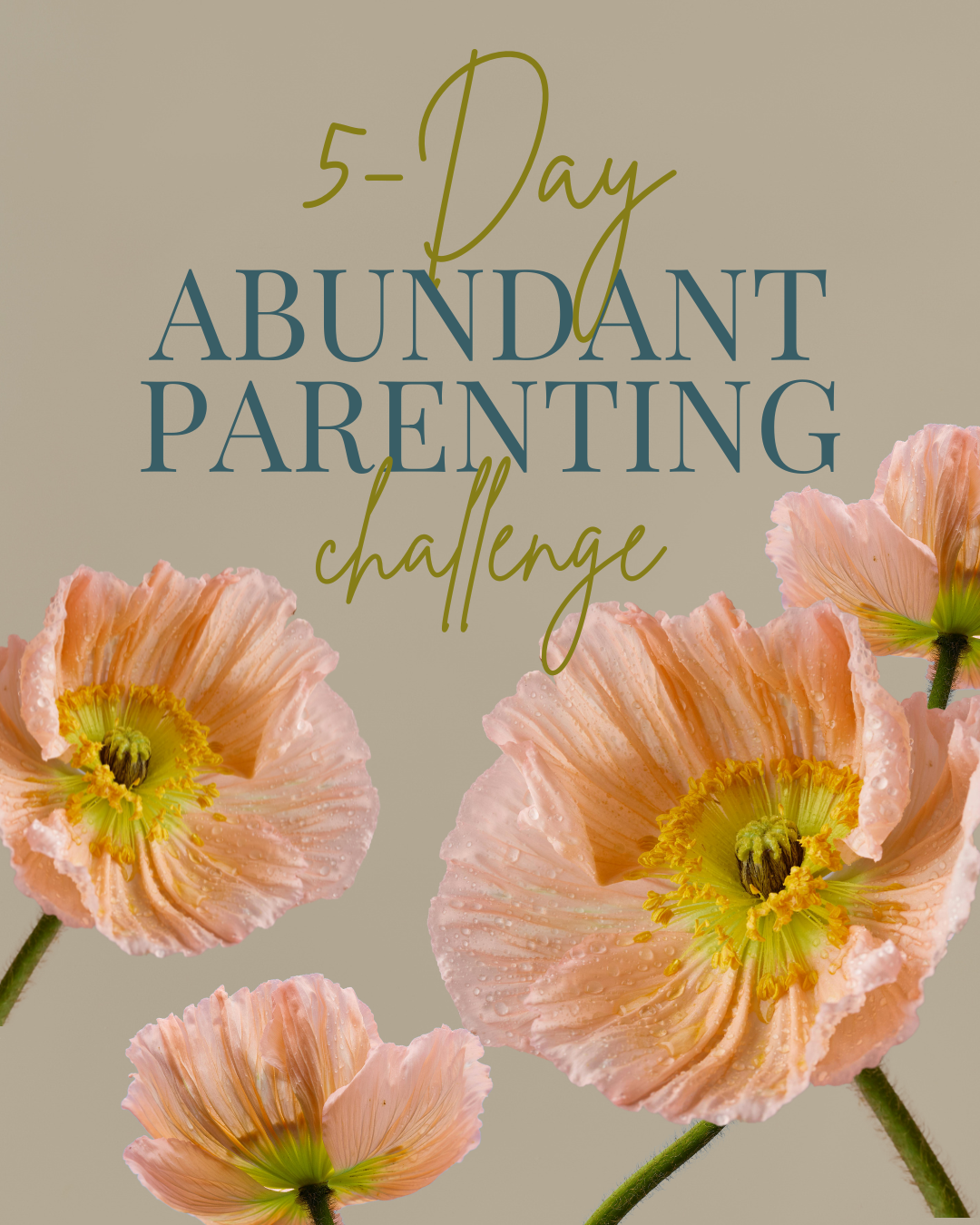 62. Abundance vs. Scarcity: It's Not About Excess, It's About Access