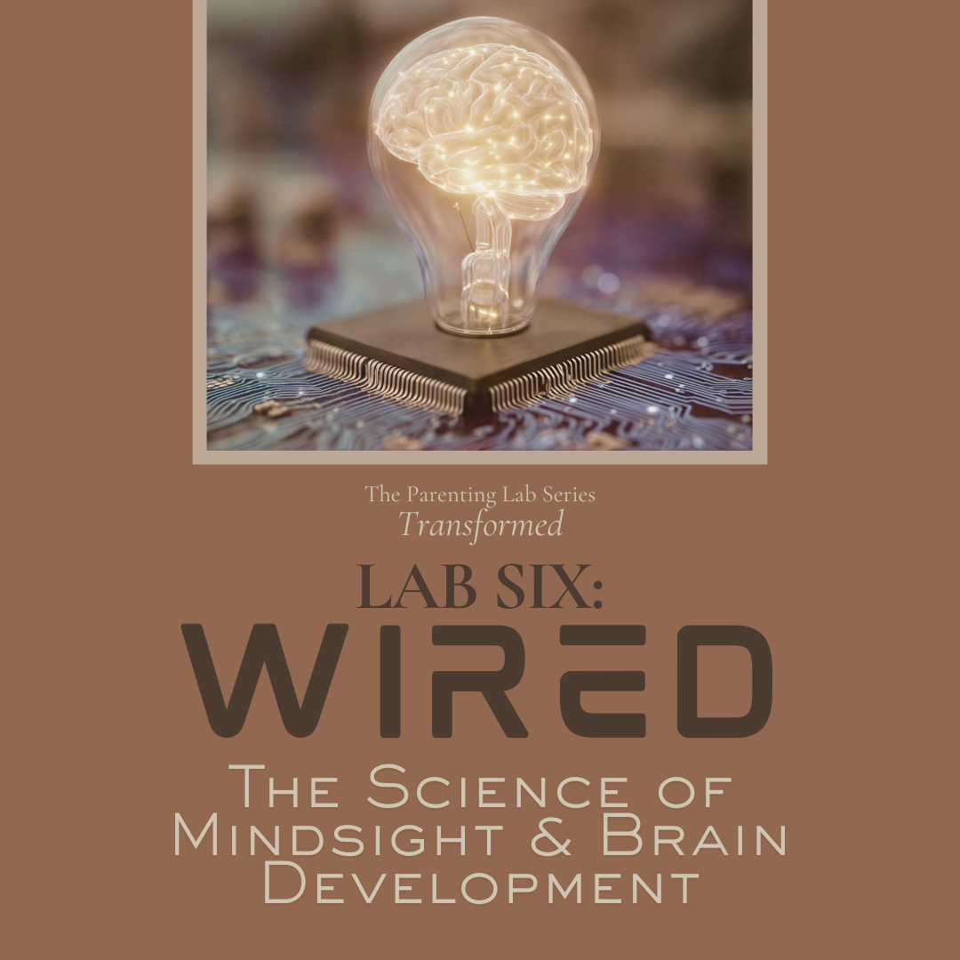 Lab 6. Wired: The Science of Mindsight & Brain Development
