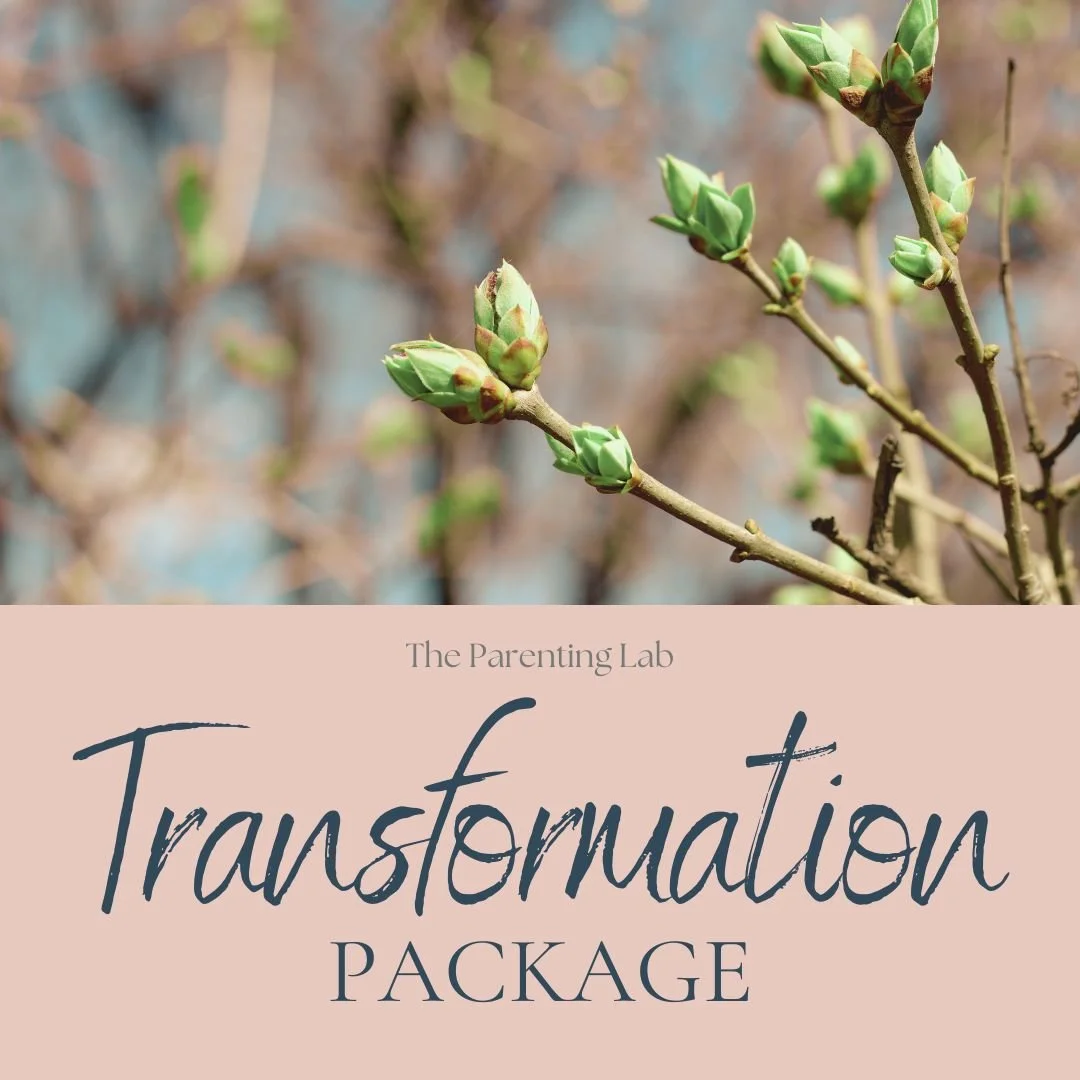 Transformation Package (12 Sessions)