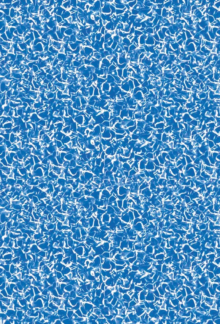 Close-up of asphalt surface with a dense network of white cracks.