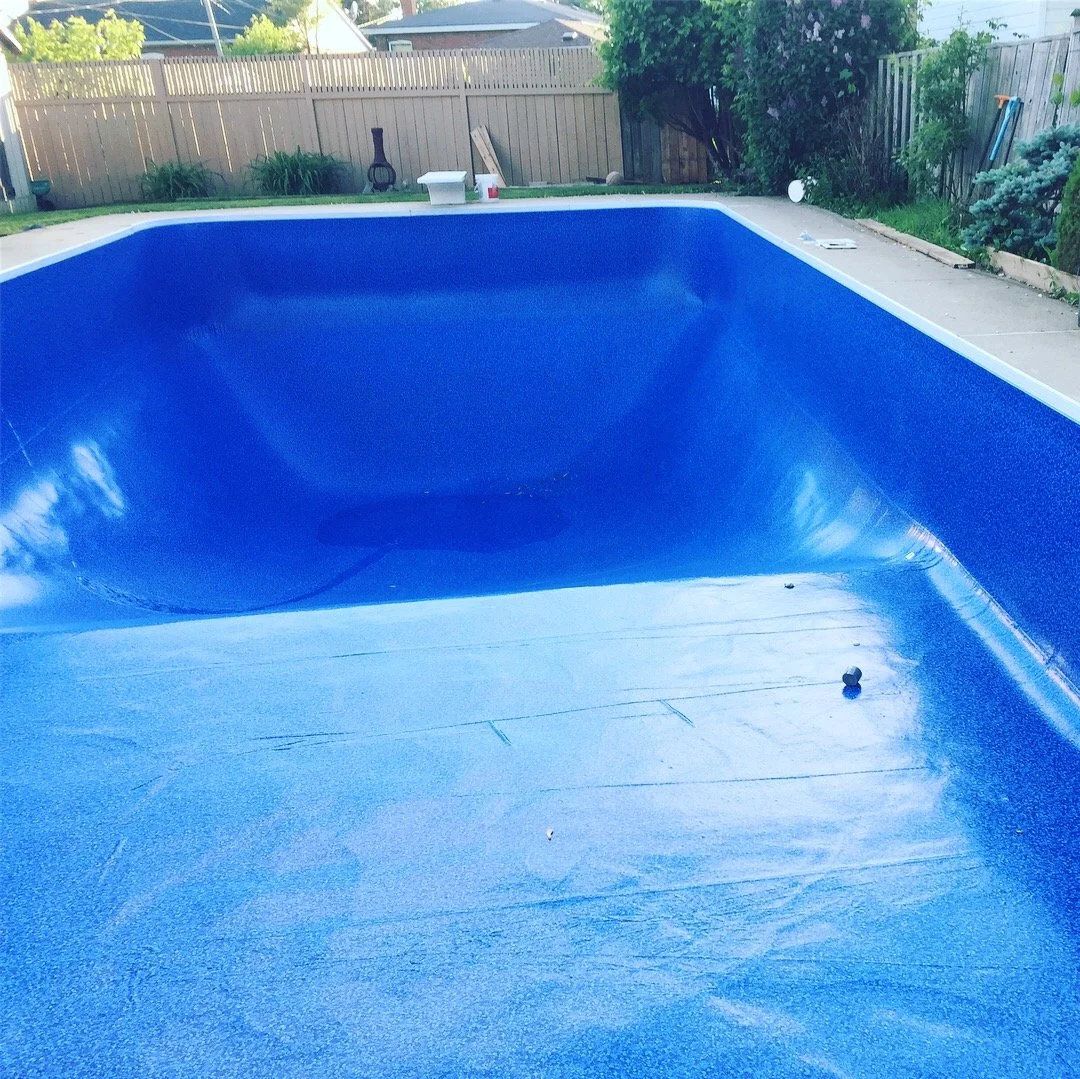 Empty backyard swimming pool with a blue interior and a white border, surrounded by a fenced yard with plants and outdoor furniture.