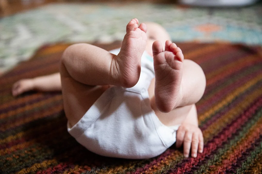 LRPhotos2026 - DewittFamily2026-6.jpg