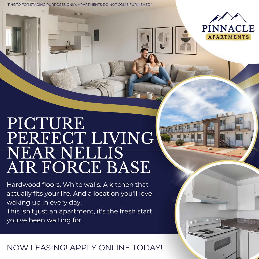 Pinnacle Meta Ad (1).png