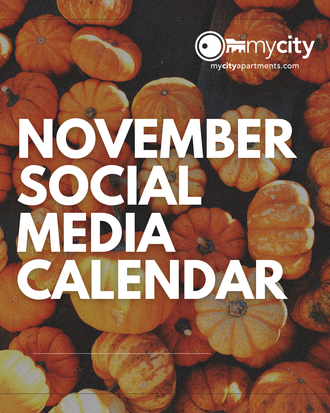 Your leasing social media Toolkit (1).png