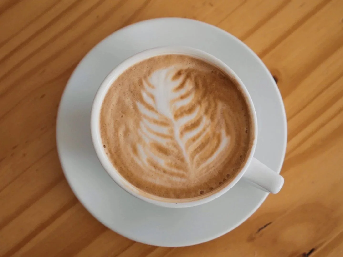 Leopard Forest Coffee