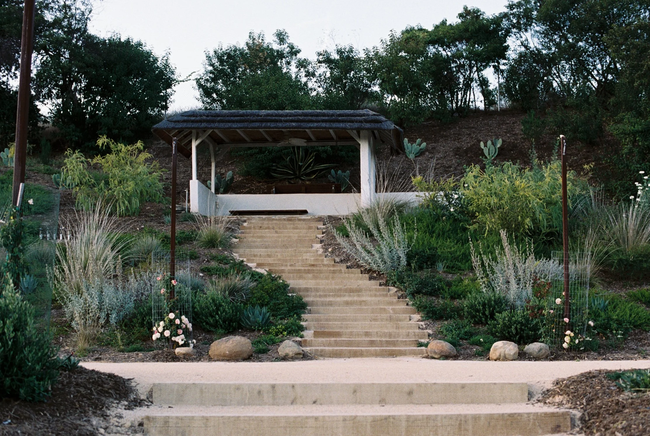A staircase with multiple steps leading up to a small shelter with a thatched roof, surrounded by various green plants and shrubs, with a hillside and trees in the background.