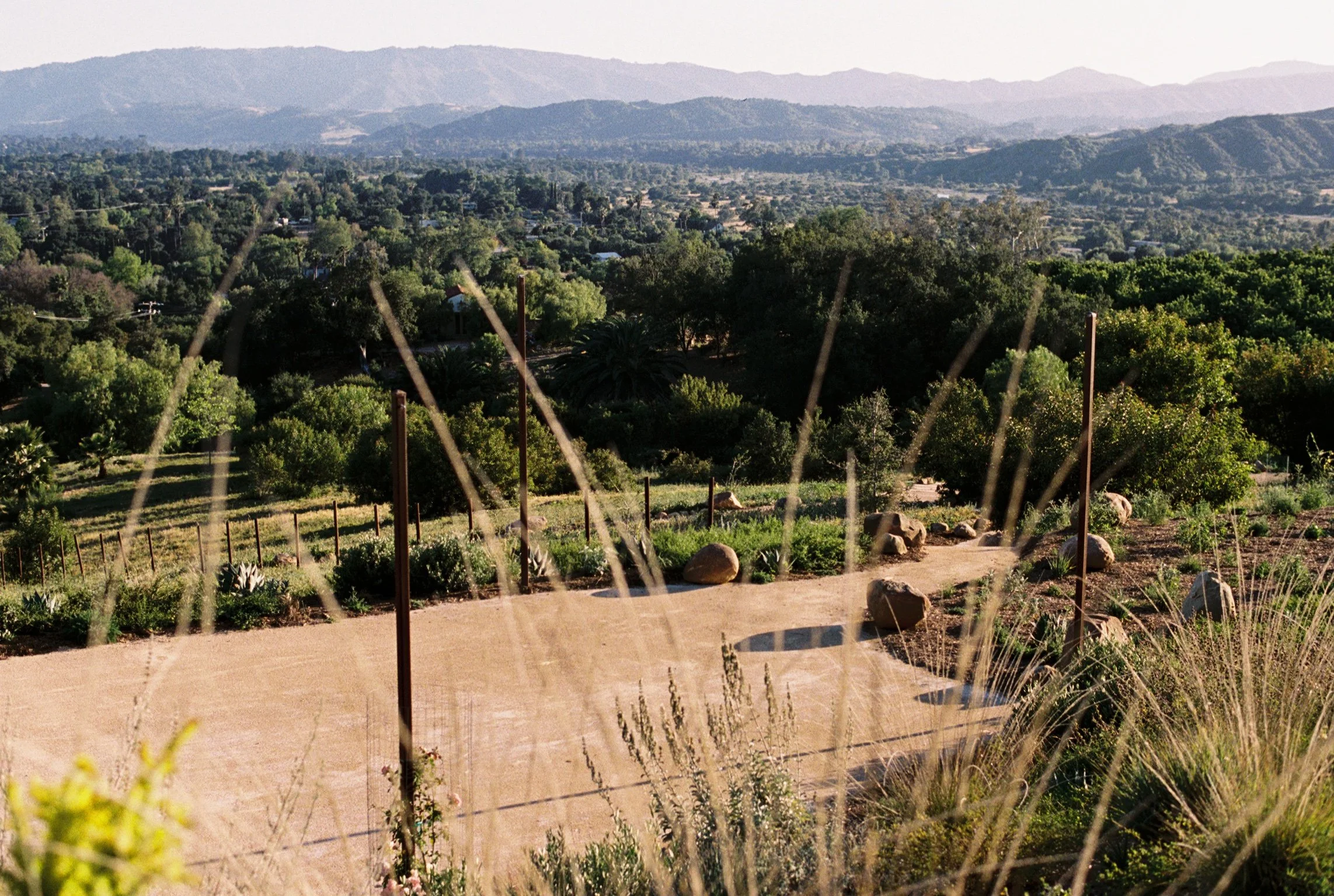 View of a rural landscape with a paved granite path, California native plants, and boulders in the foreground, green trees and hilly terrain in the middle ground, and distant Ojai Valley mountains in the background.