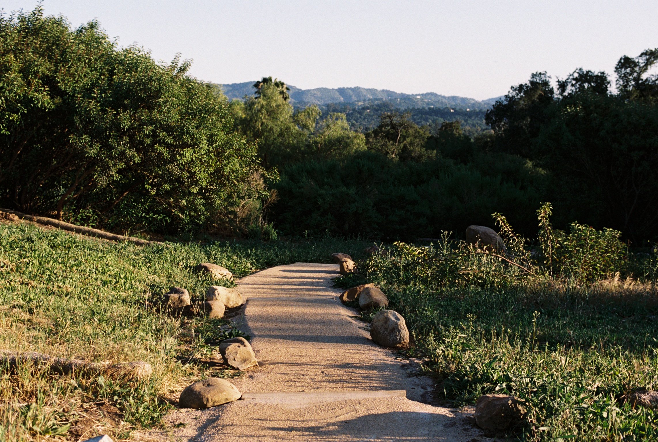 A landscaped curved pathway with timber-lined steps bordered by small boulders, surrounded by green grass and bushes, leading towards a lush, hilly, tree-covered landscape under a clear sky.