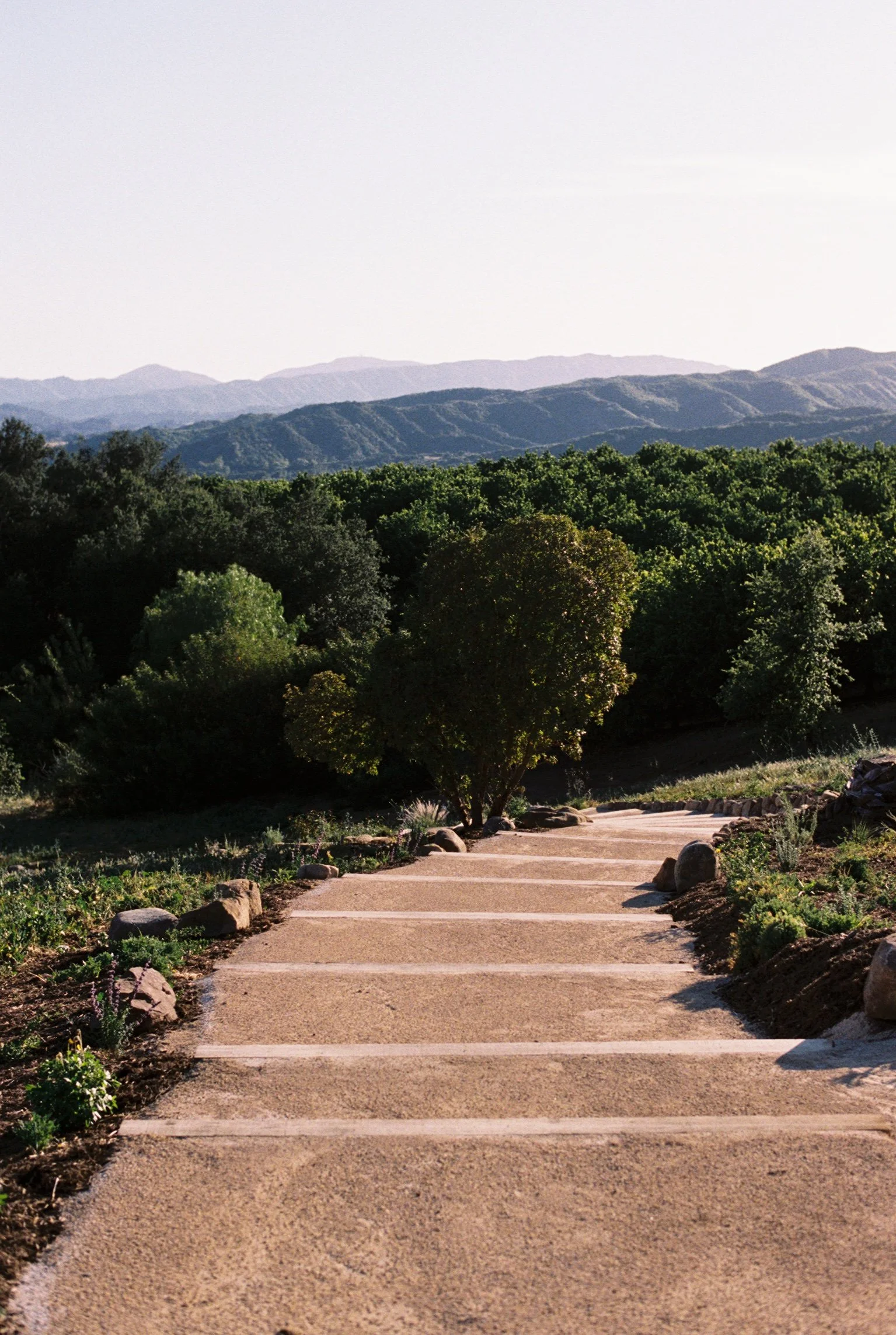 A winding paved trail with tinder steps in a natural area, surrounded by green trees and sage brush, leading toward distant Los Padres mountains under a clear sky.