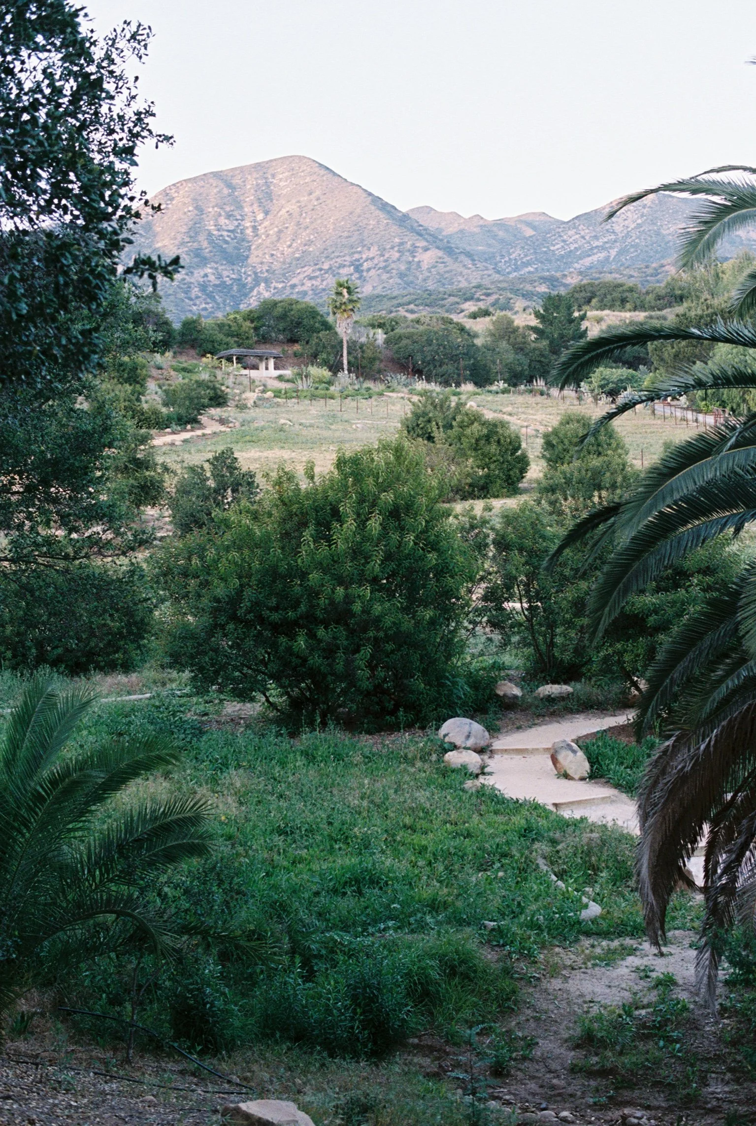 A landscape scene with a winding granite path in the foreground, surrounded by green bushes and trees, leading towards the Los Padres mountain range in the distance under a setting sky.