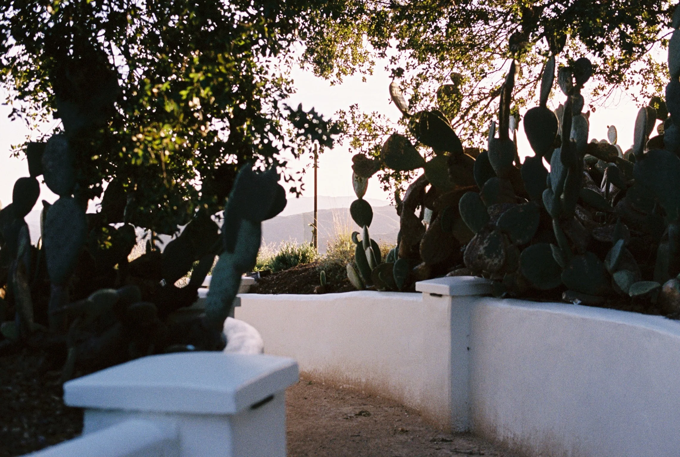 A view of a white plaster entrance with trees and bushes silhouetted against an illuminated sky.