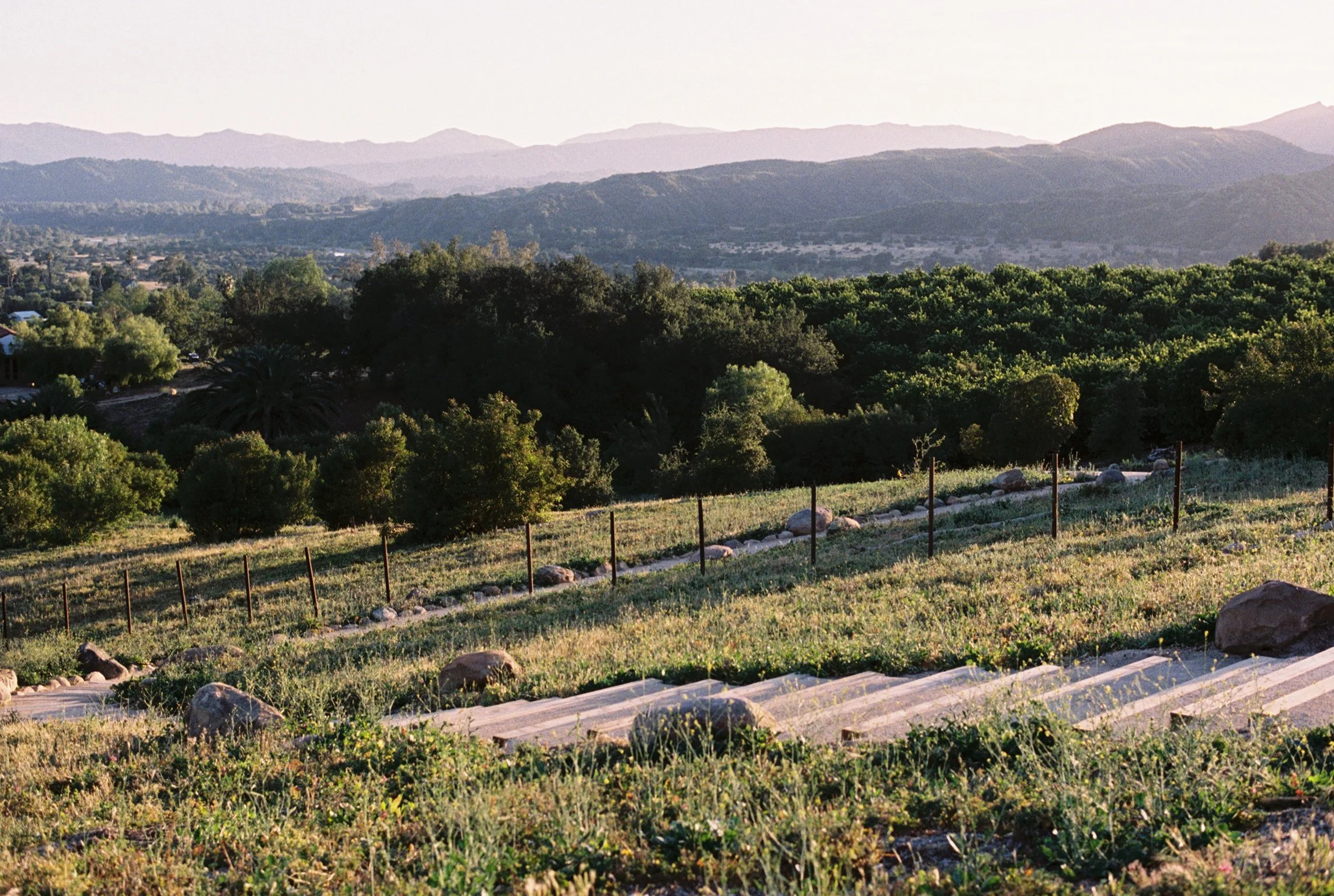 Scenic view of rolling hills, lush green trees, and distant mountains under clear sky, with a stone-lined pathway in the foreground.