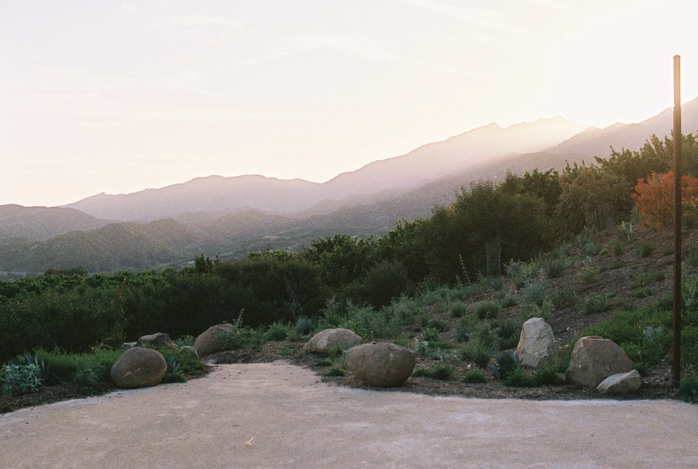 Landscape view of the Los Padres Mountains during sunset with trees and small boulders lining a granite walkway.