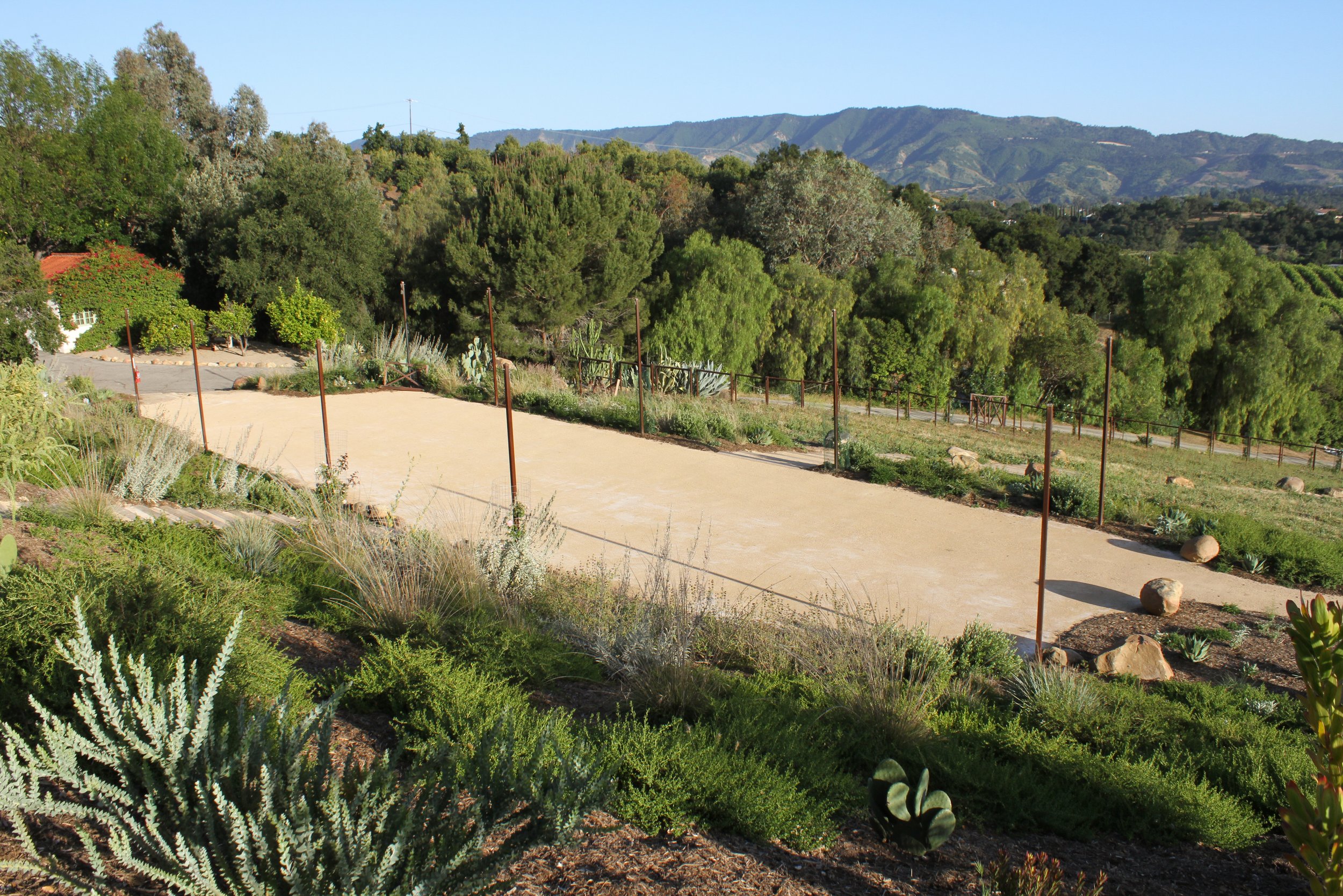 Poppy Meadow view of the plateau at the golden hour in Ojai