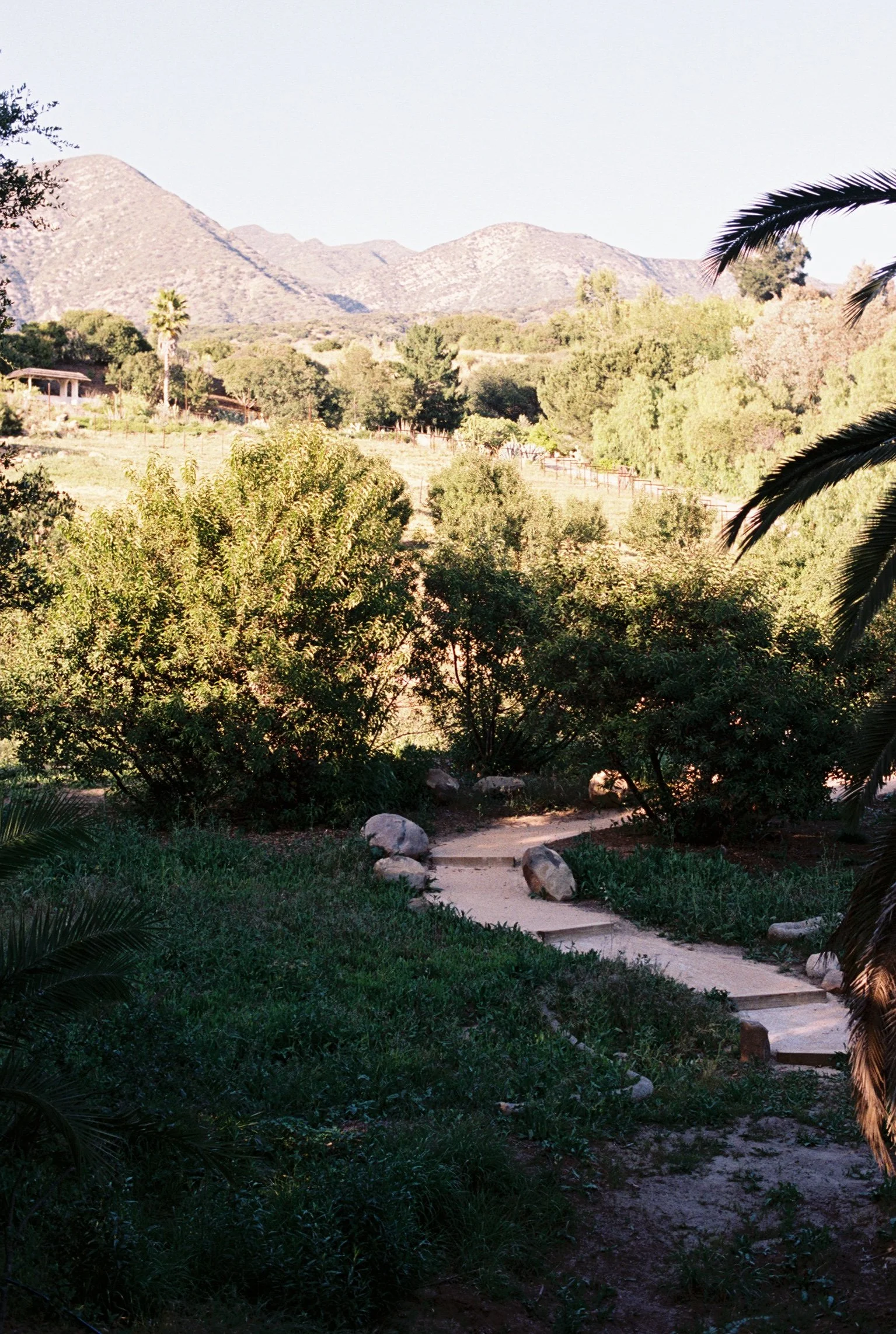 View from the base of the garden path looking toward the pergola at Maricopa Gardens Ojai.