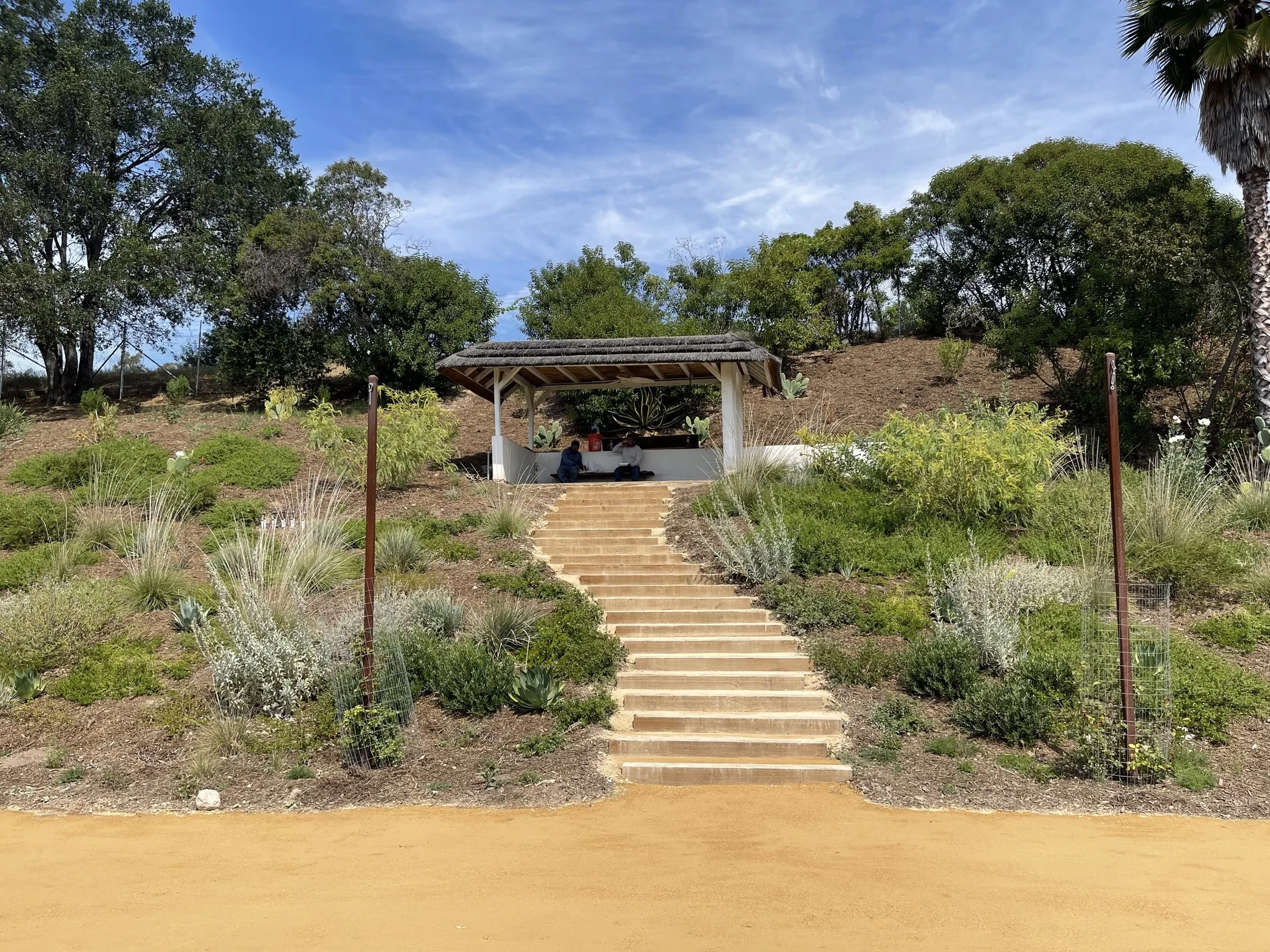 FullSizeRender (1).jpeg