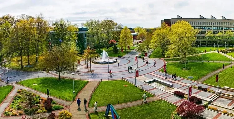 Stony Brook Case Study