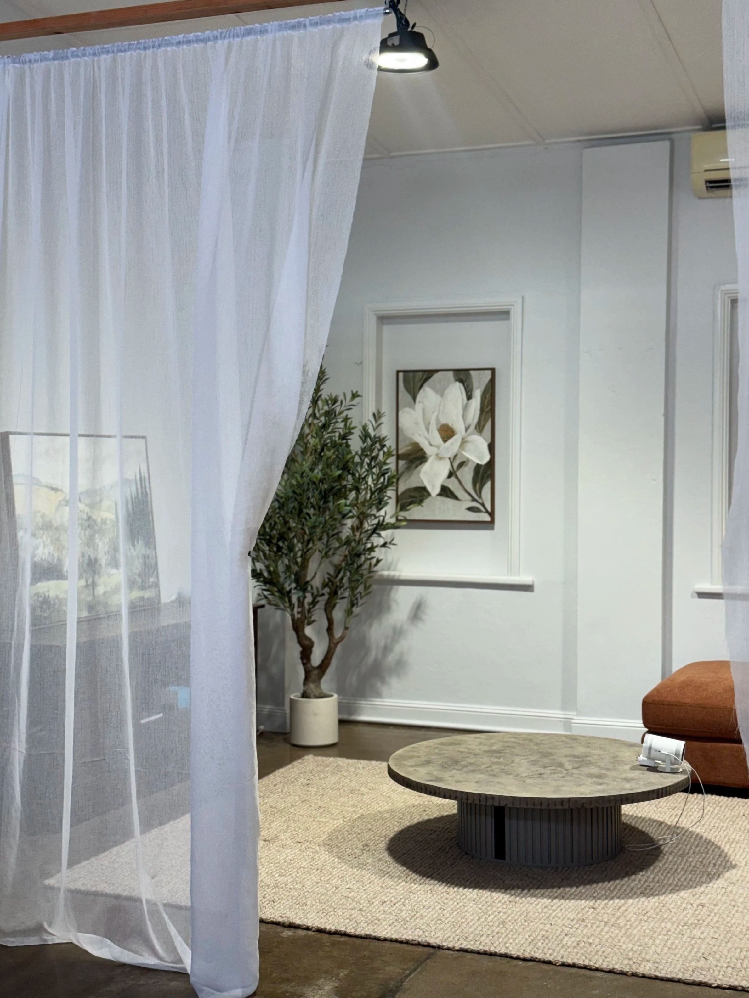 A cozy living room with a white curtain on the left, a potted plant, framed wall art of white flowers on the wall, a round coffee table, a rust-colored couch, and a beige rug. There's an air conditioning unit on the wall and a small white device on the table.