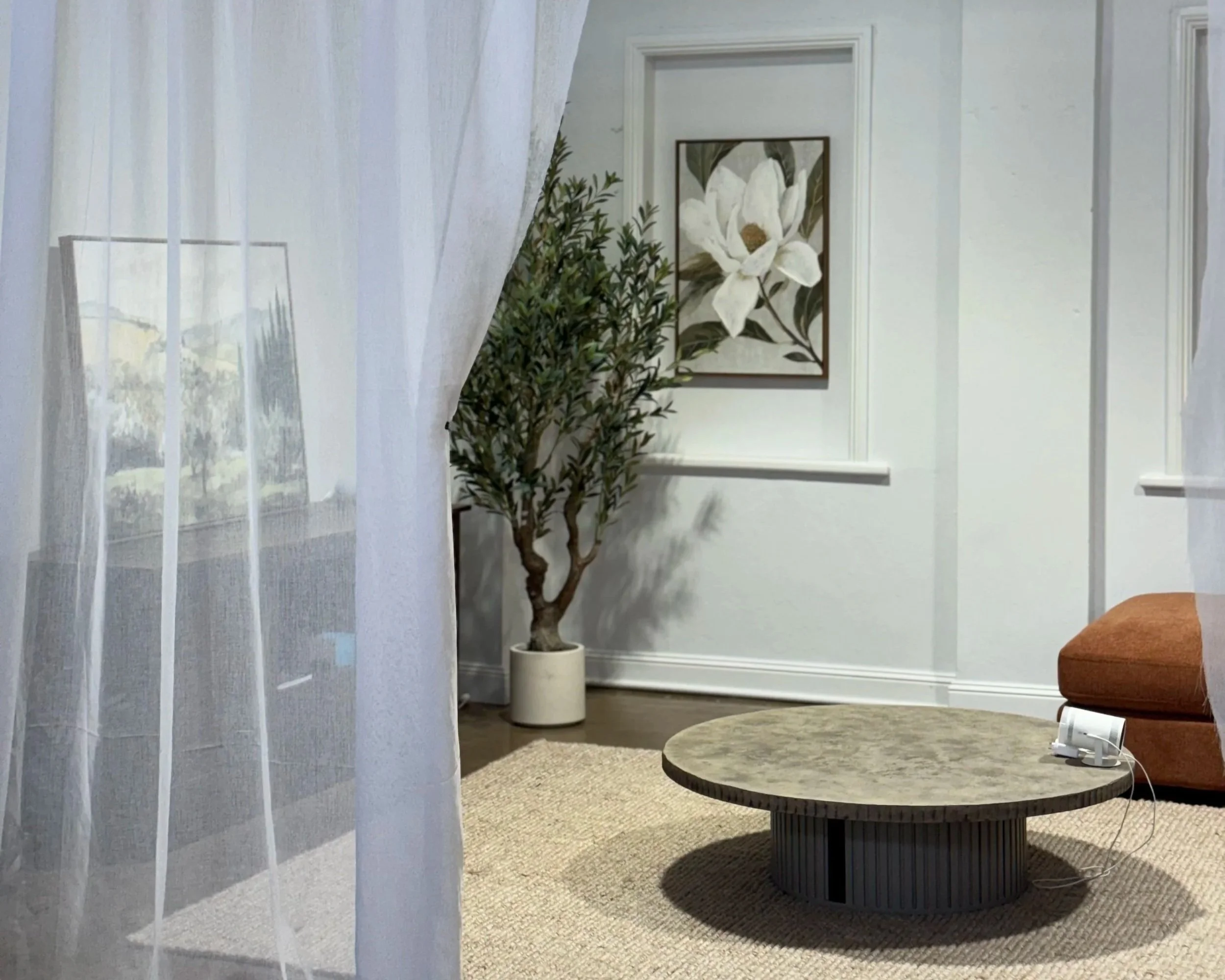 View of a cozy living room with sheer curtains on the left, a framed floral painting on the wall, a potted plant, a round coffee table, and a brown armchair in the background.