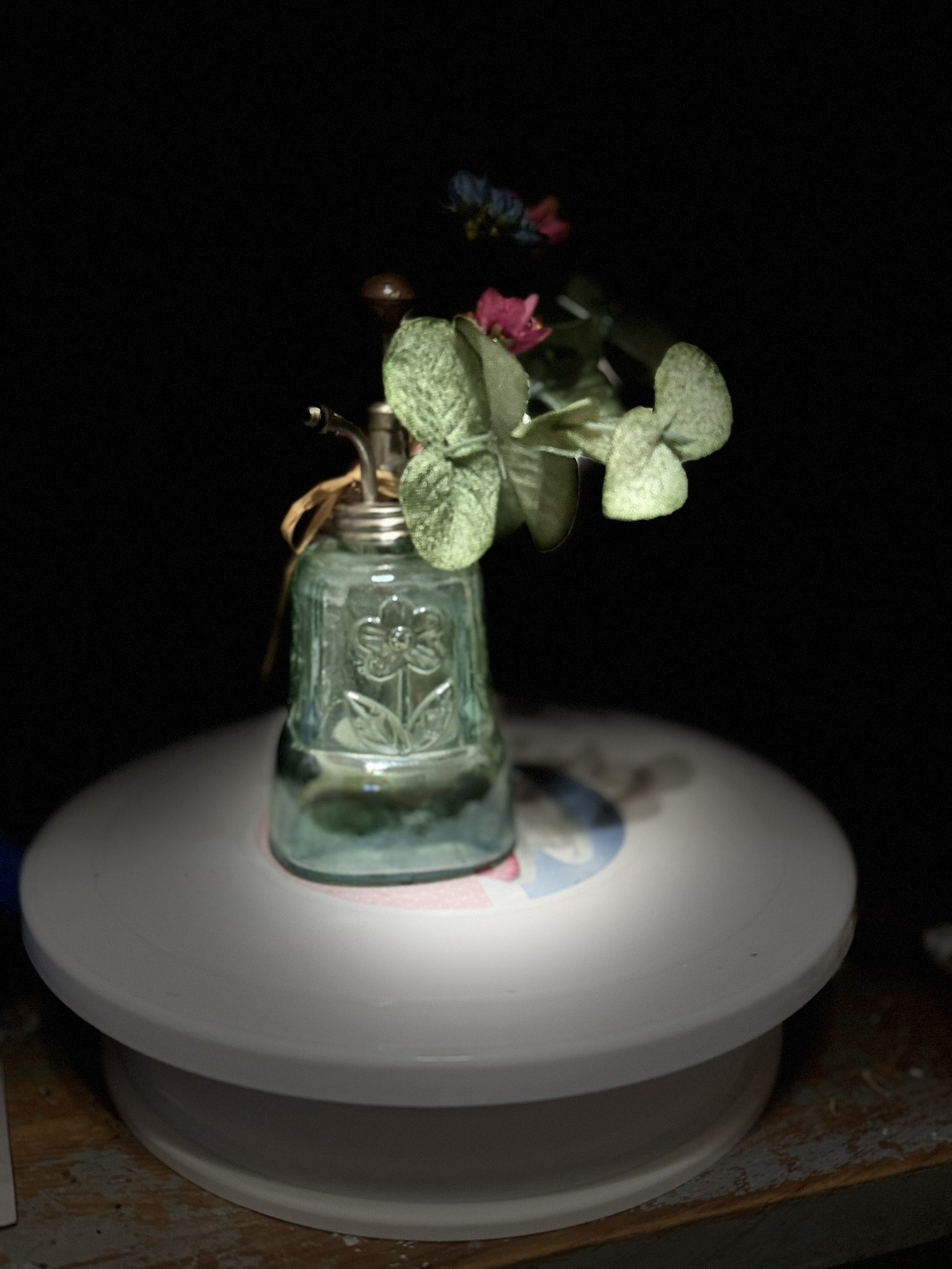 Vintage Glass Plant Mister with Brass Pump