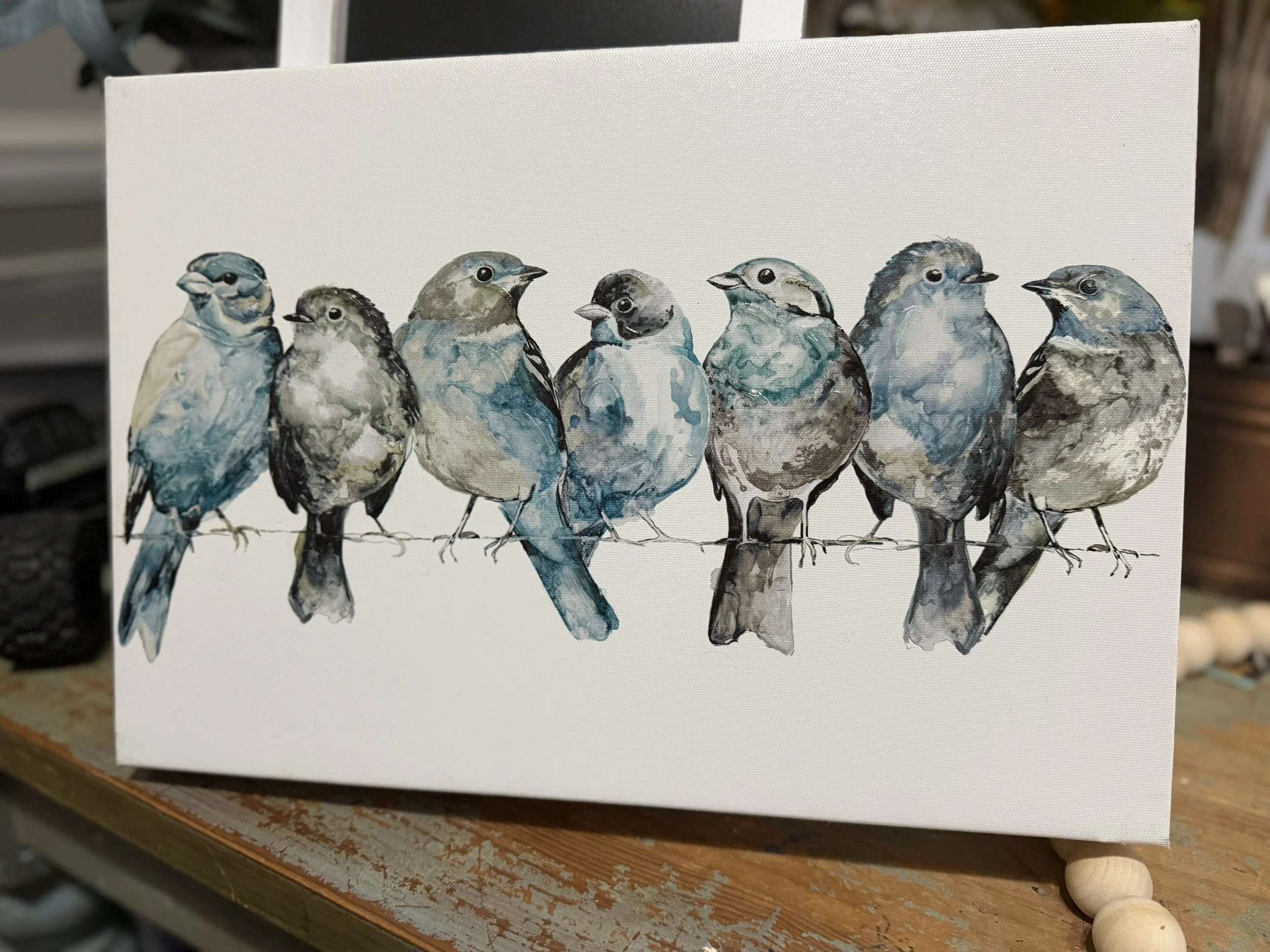 Beautiful Blue Birds.jpg