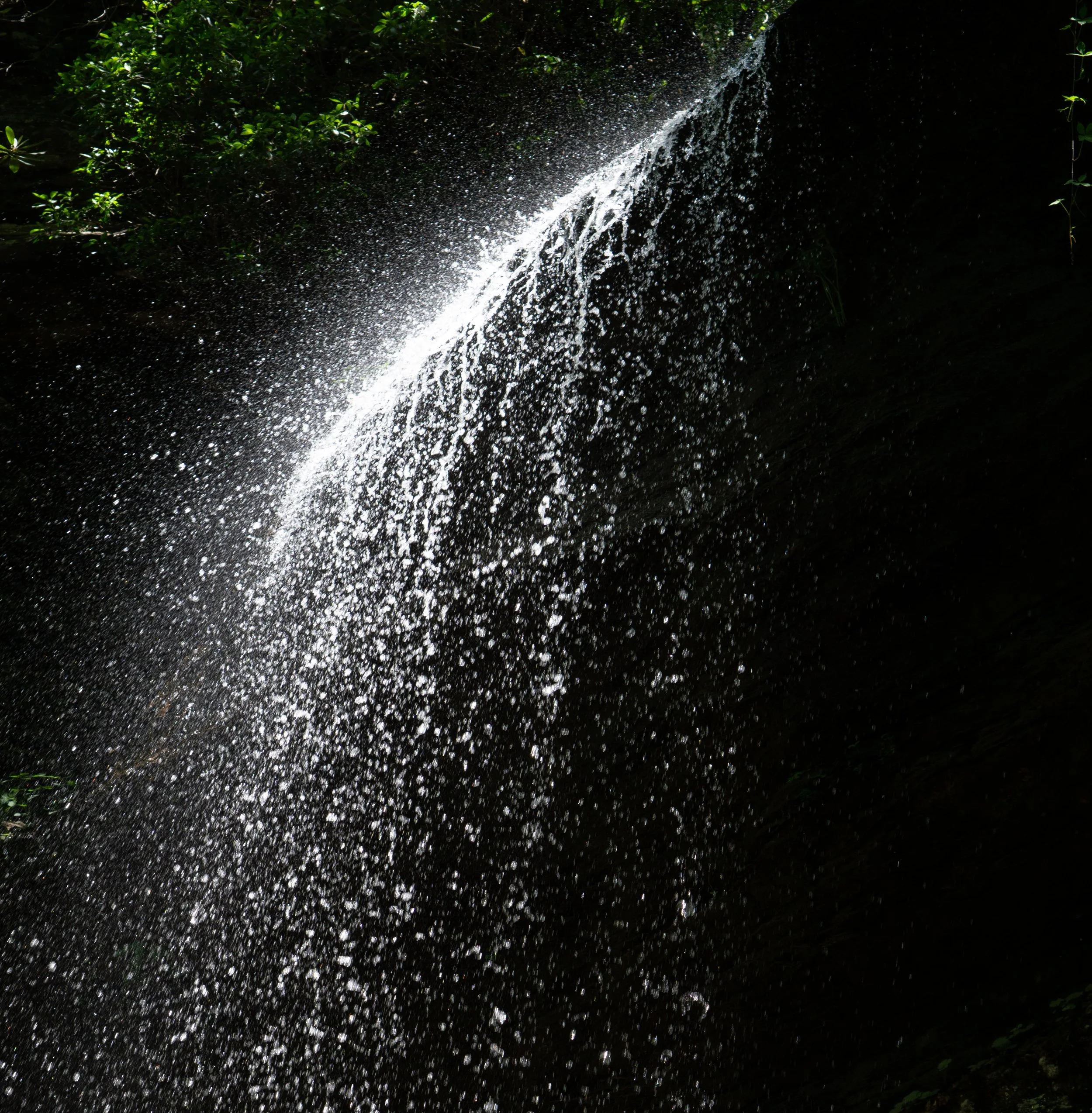 Pisgah National Forest